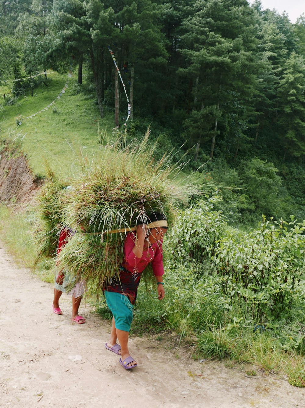 a couple of people carrying plants on their heads