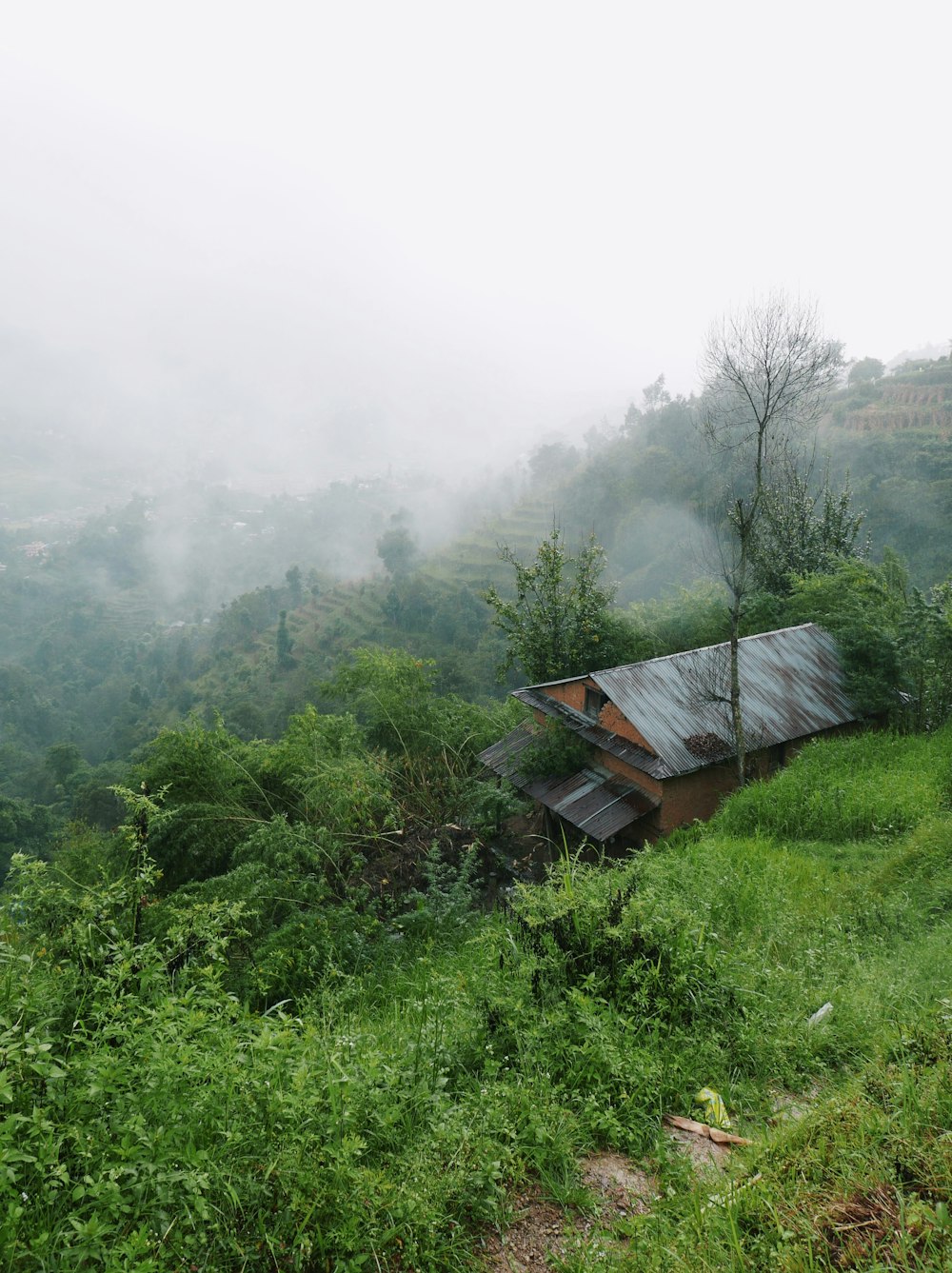 uma casa no meio de uma floresta