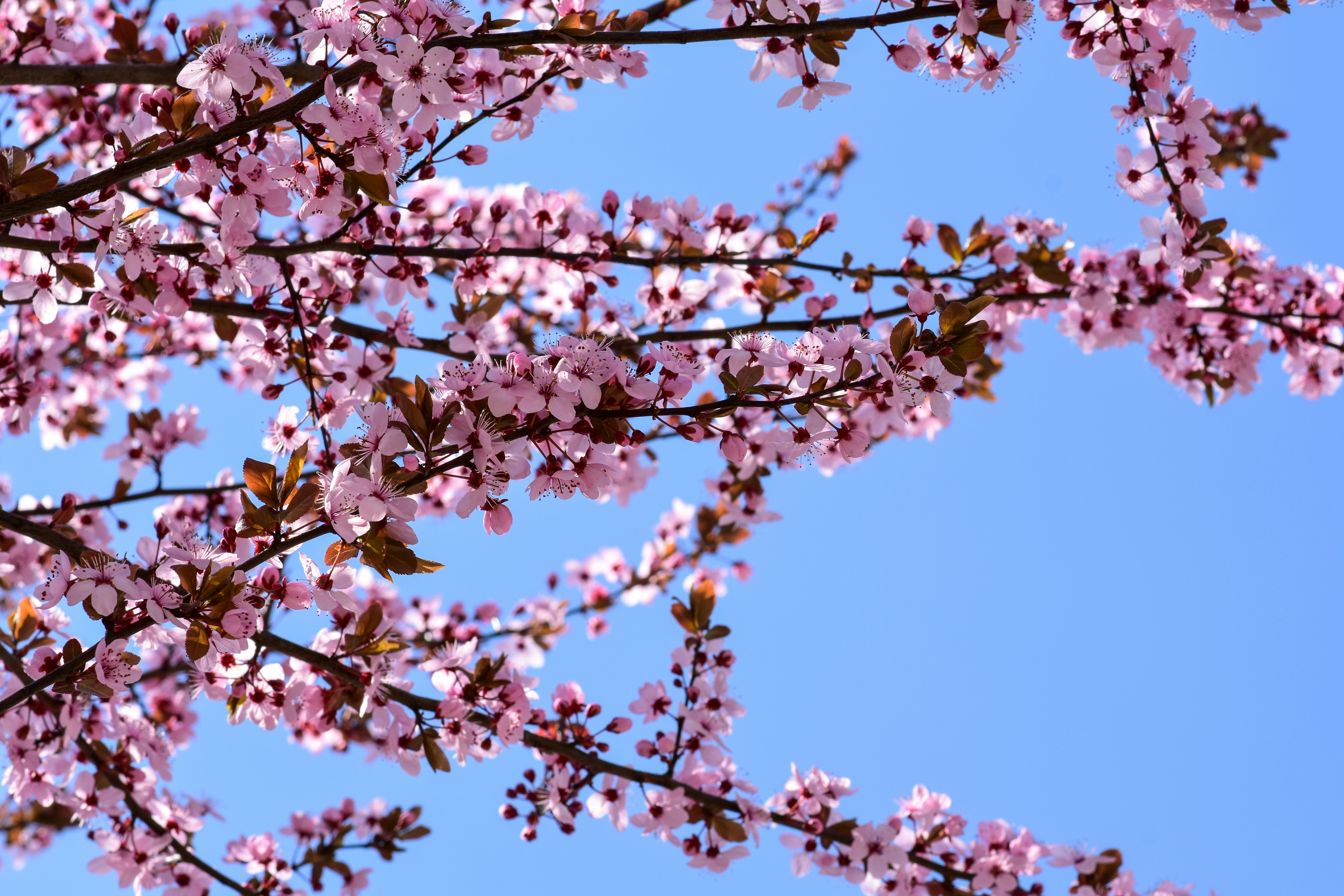 Photo by silverius89