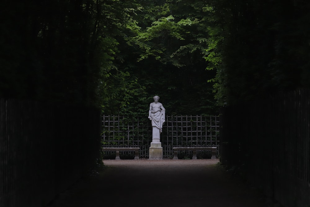 a statue in a park