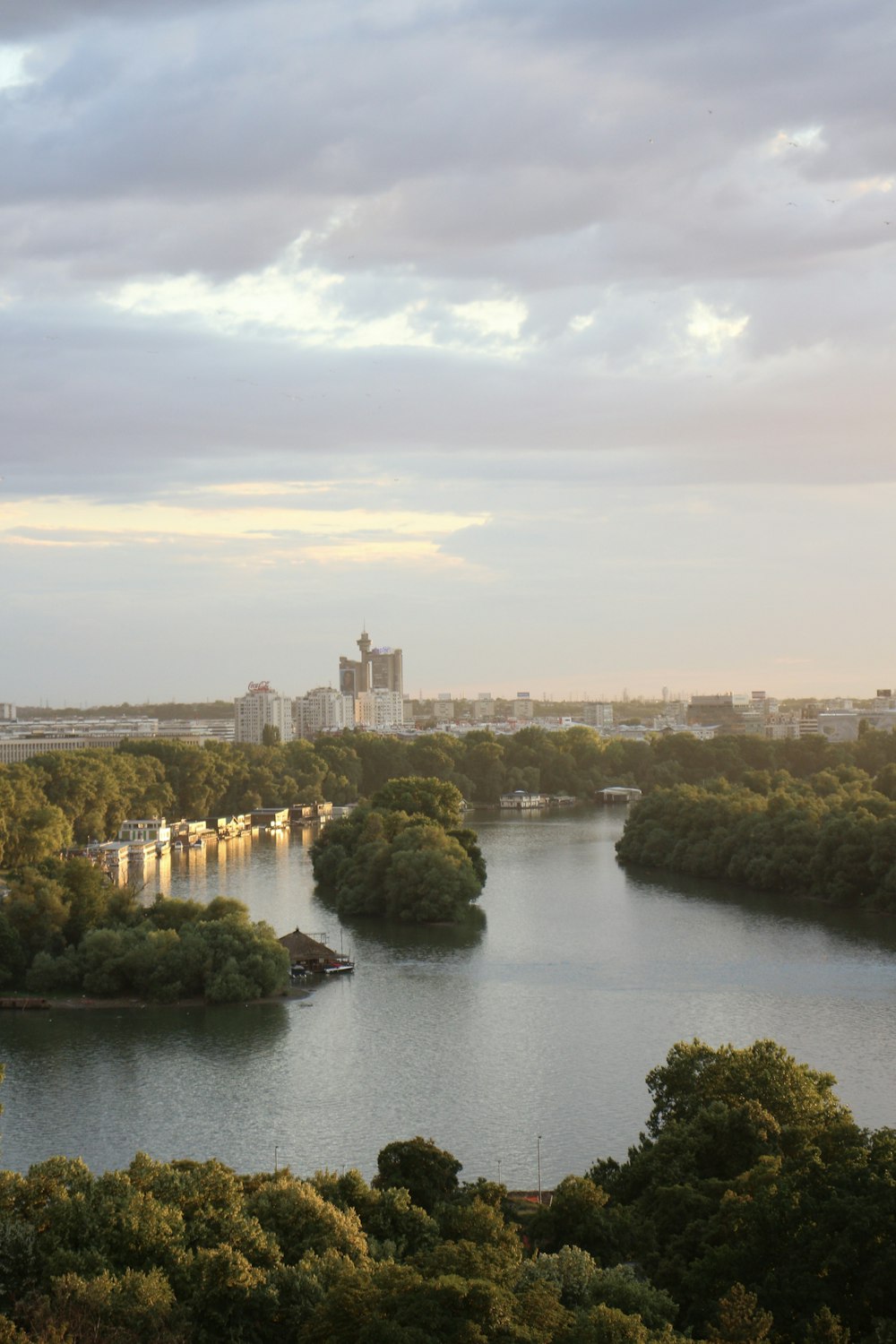 a river with trees and a city in the background