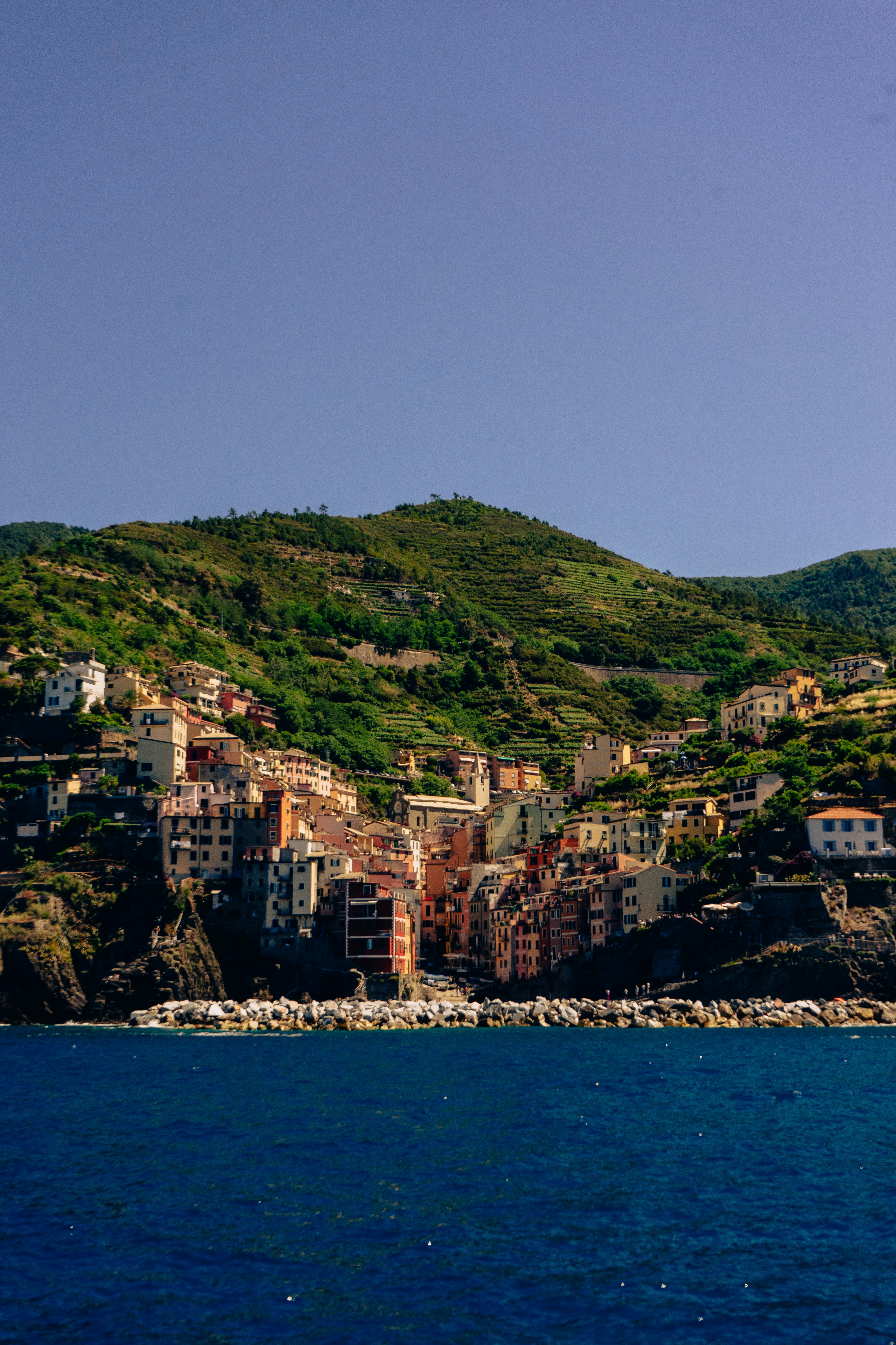 Photo by virussinside