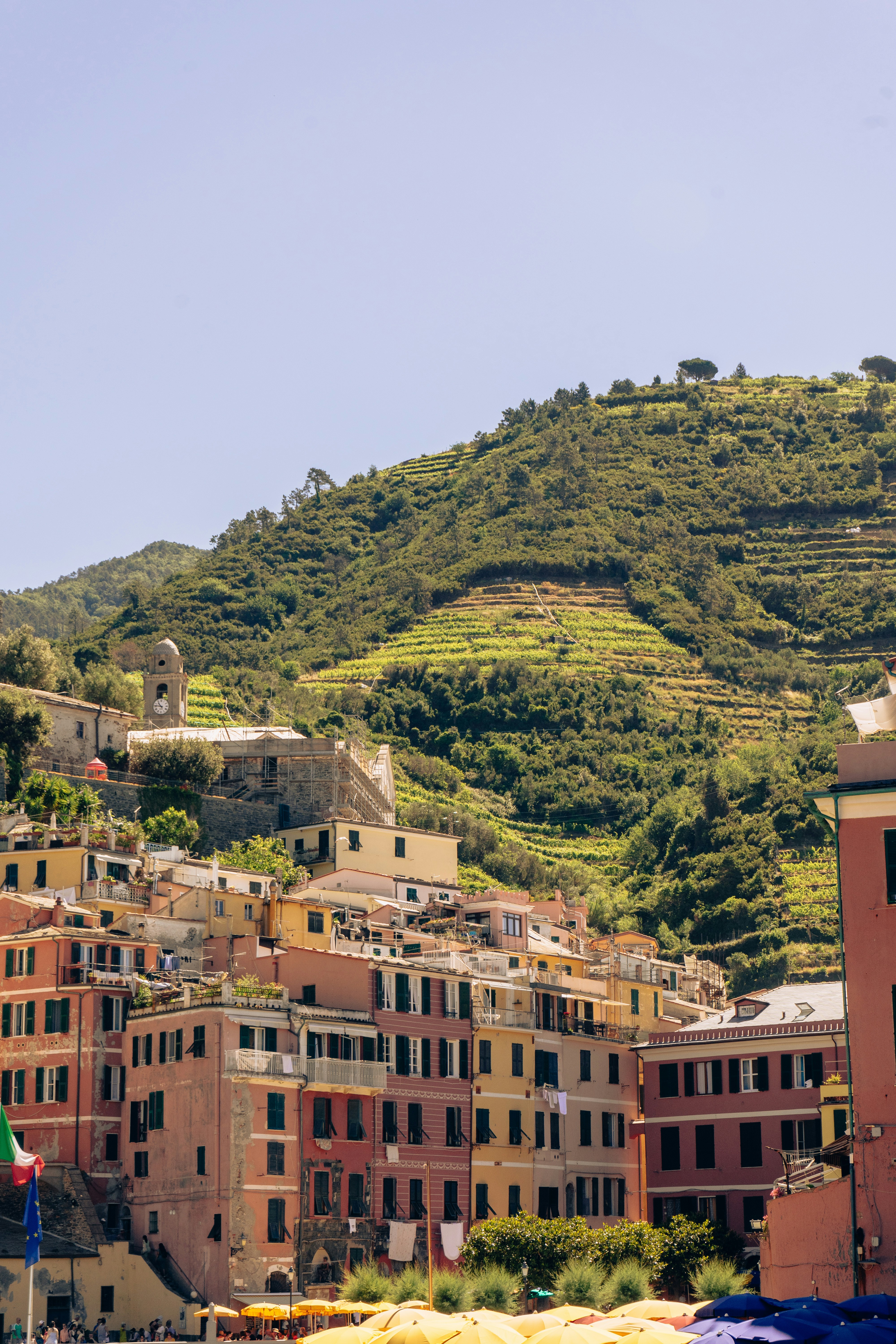 Photo by virussinside