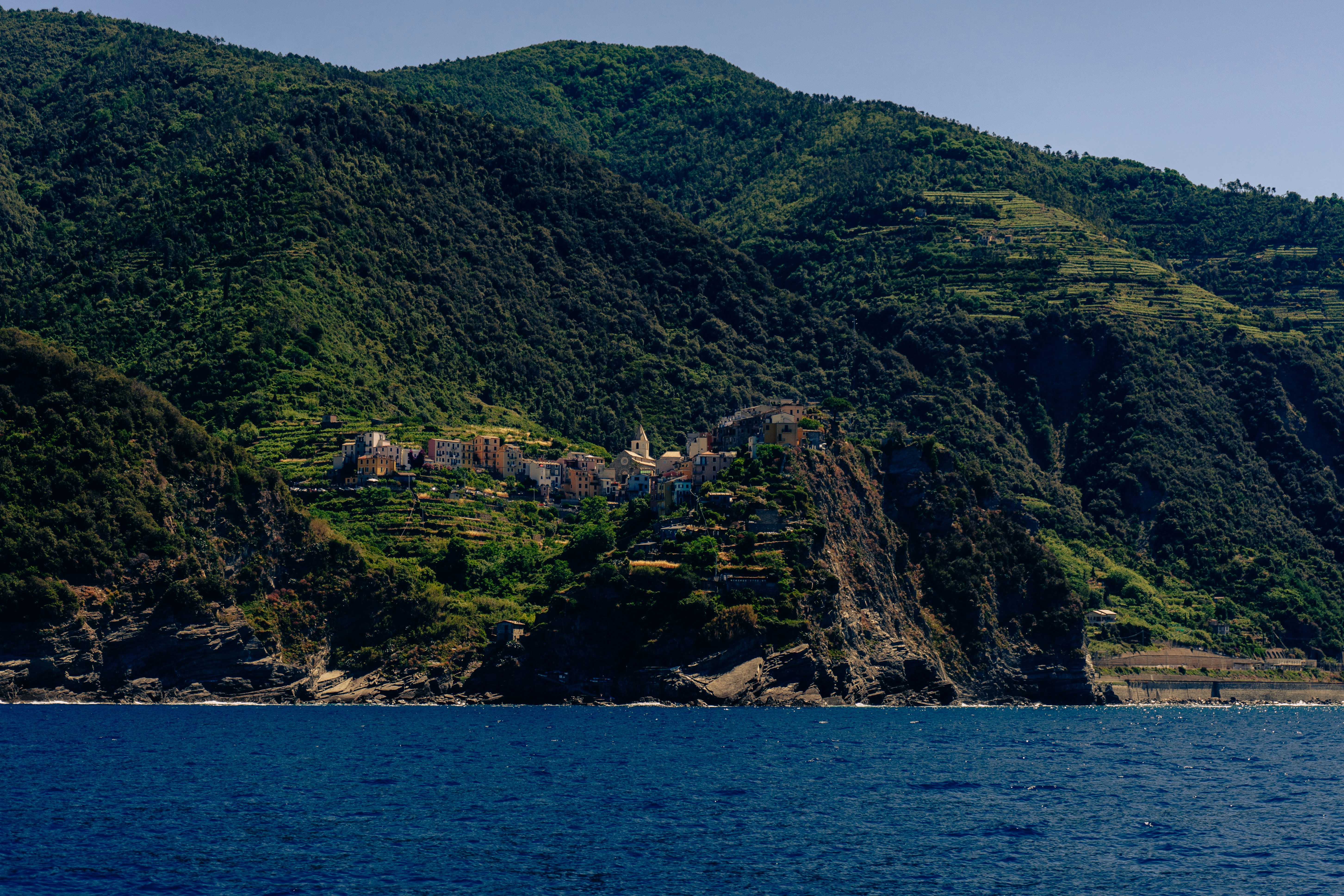 Photo by virussinside