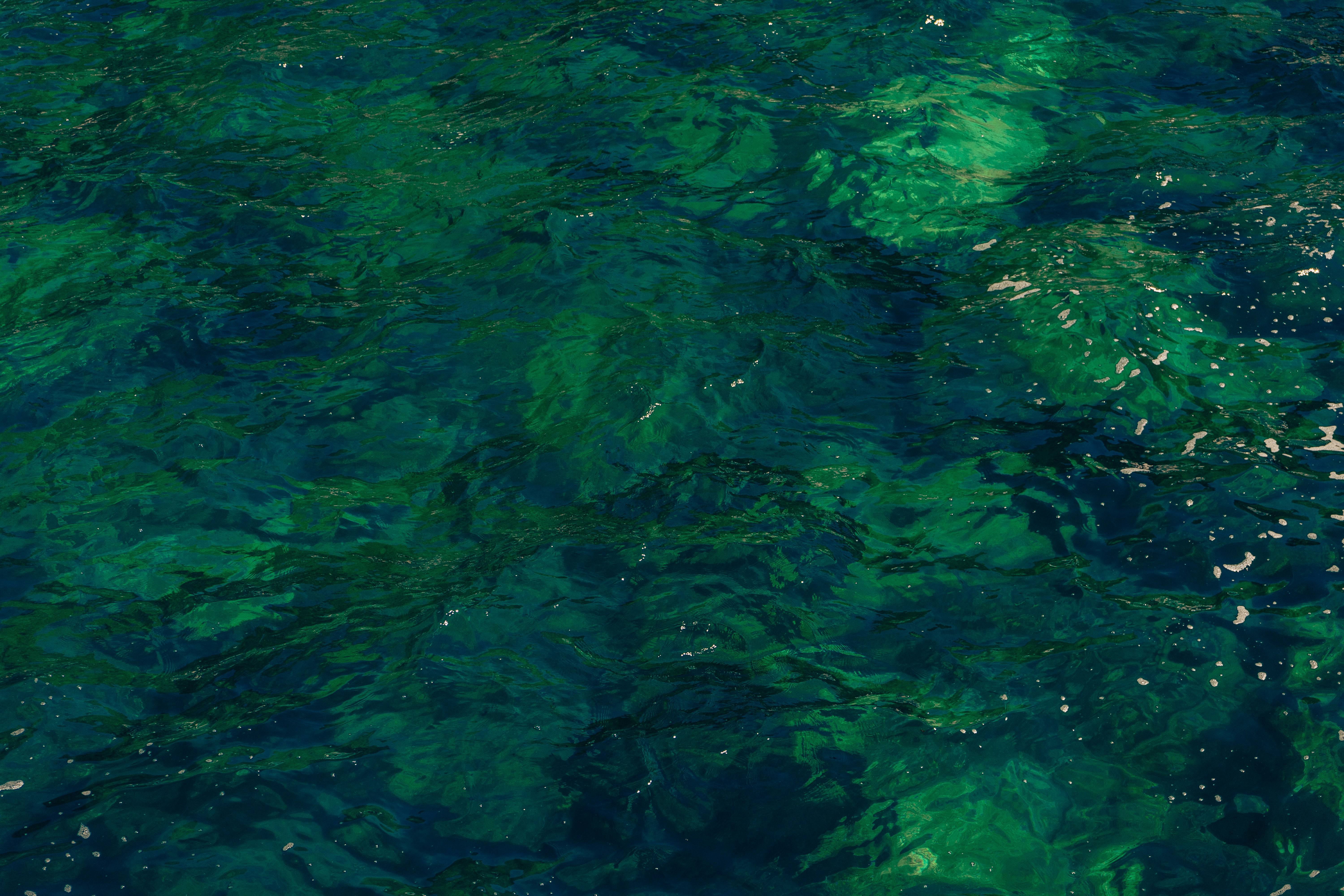 Photo by virussinside