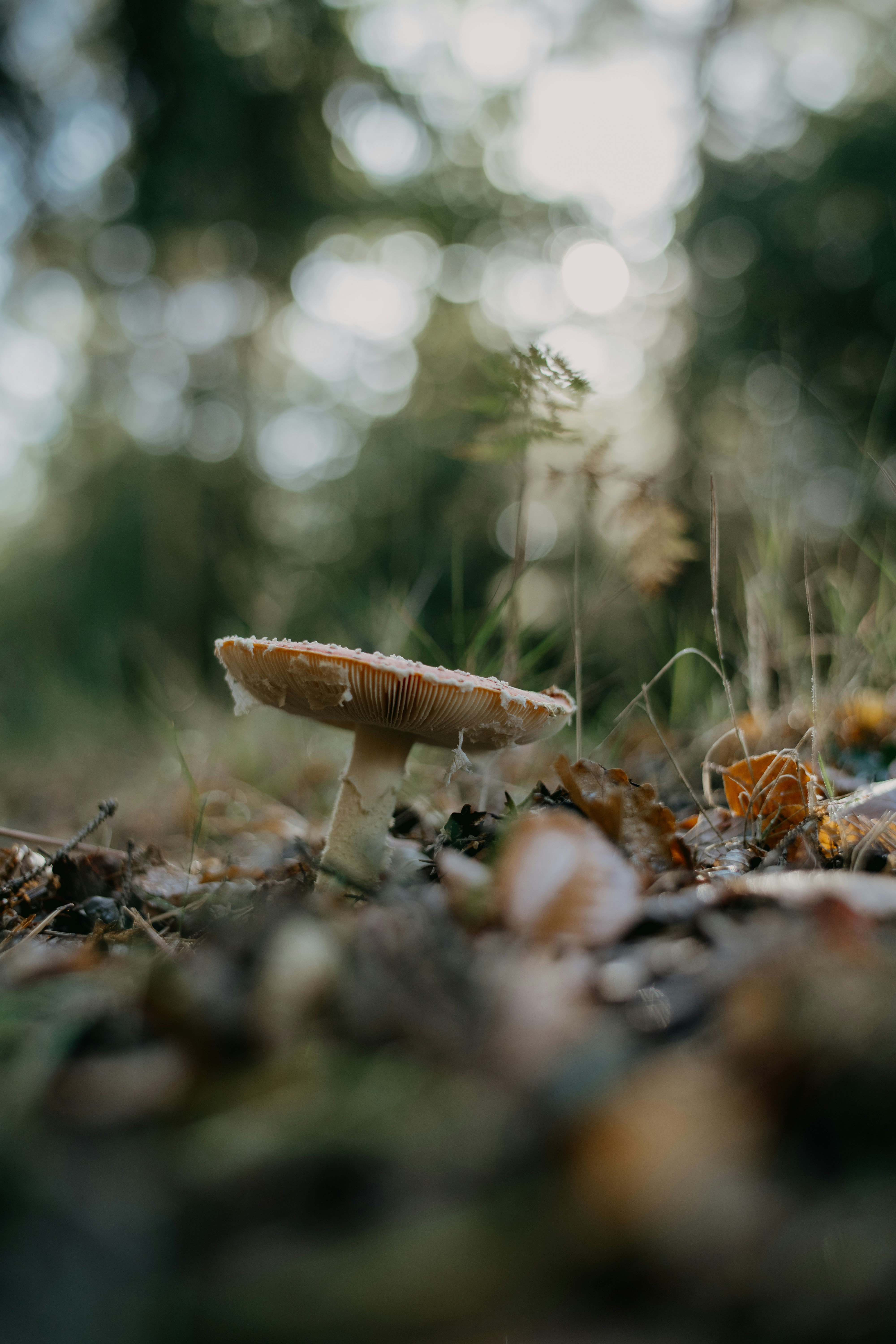 Photo by anniespratt
