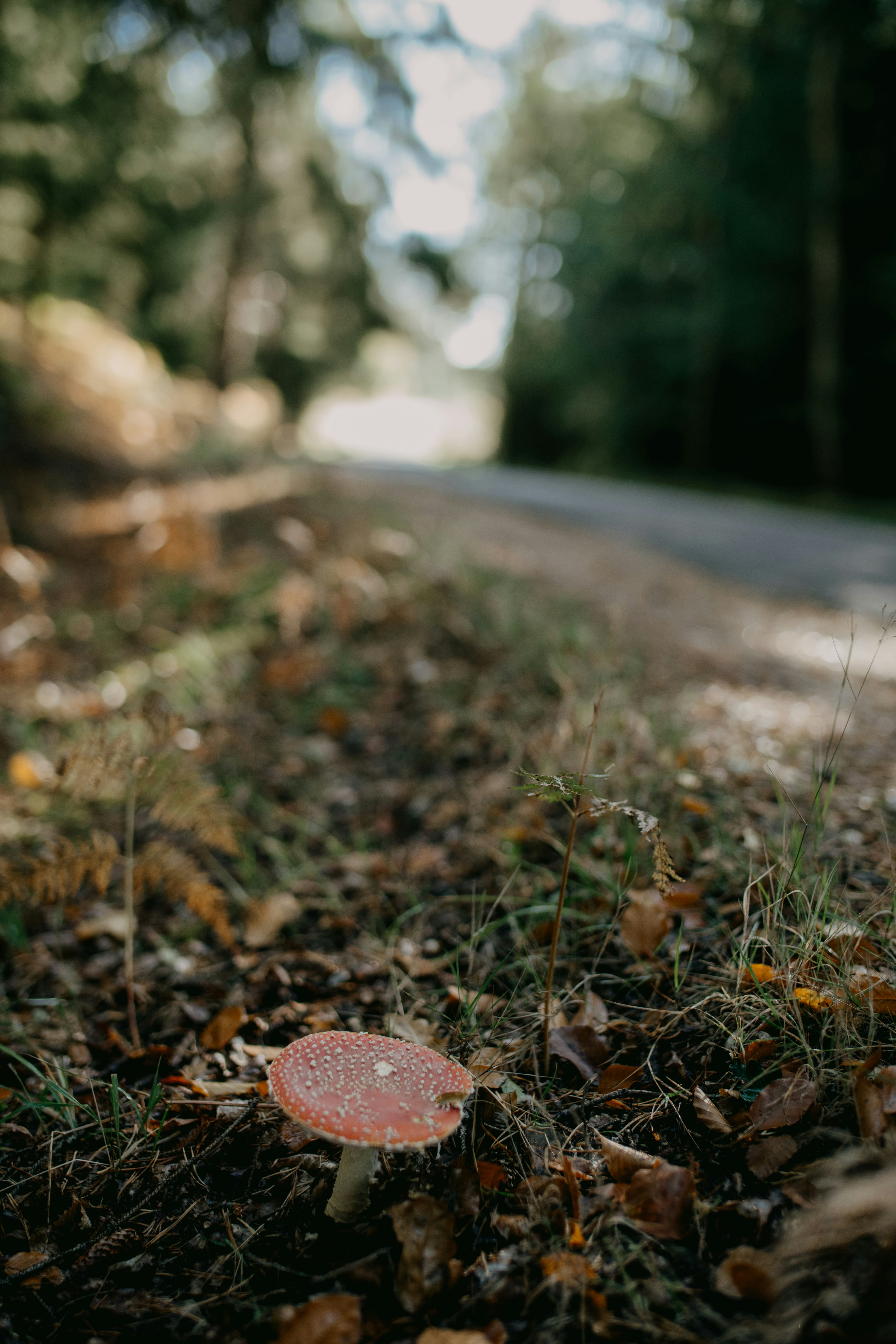 Photo by anniespratt
