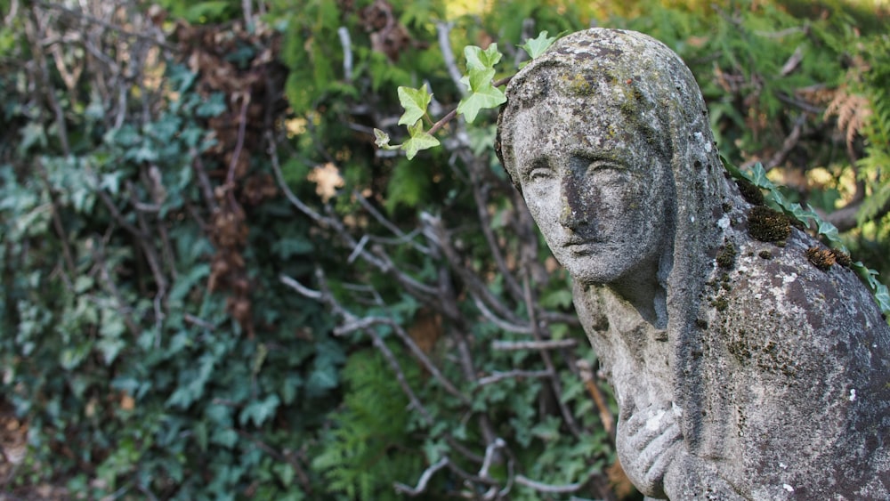 a statue of a person surrounded by plants