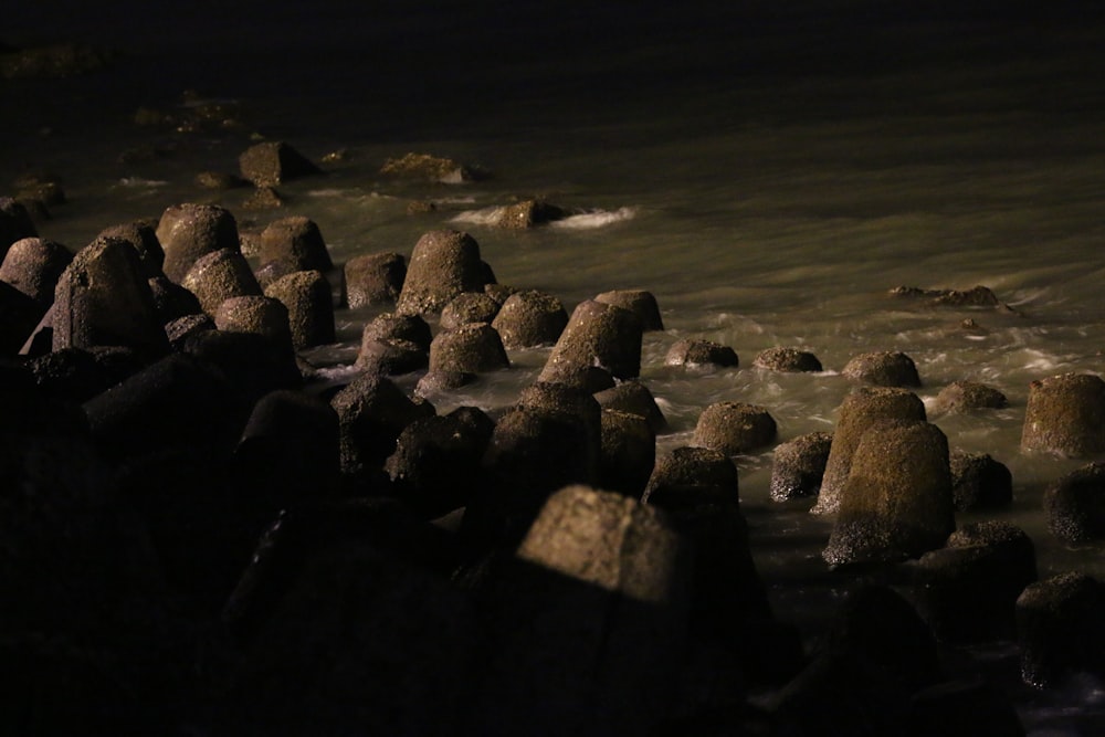 a group of rocks in the water