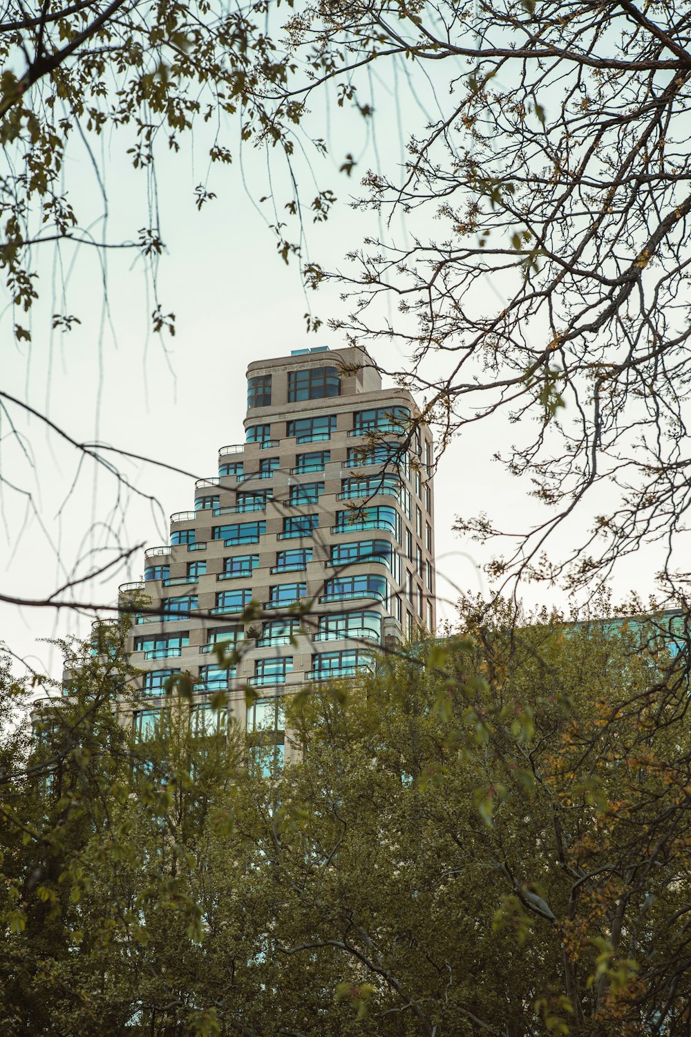 a tall building behind trees