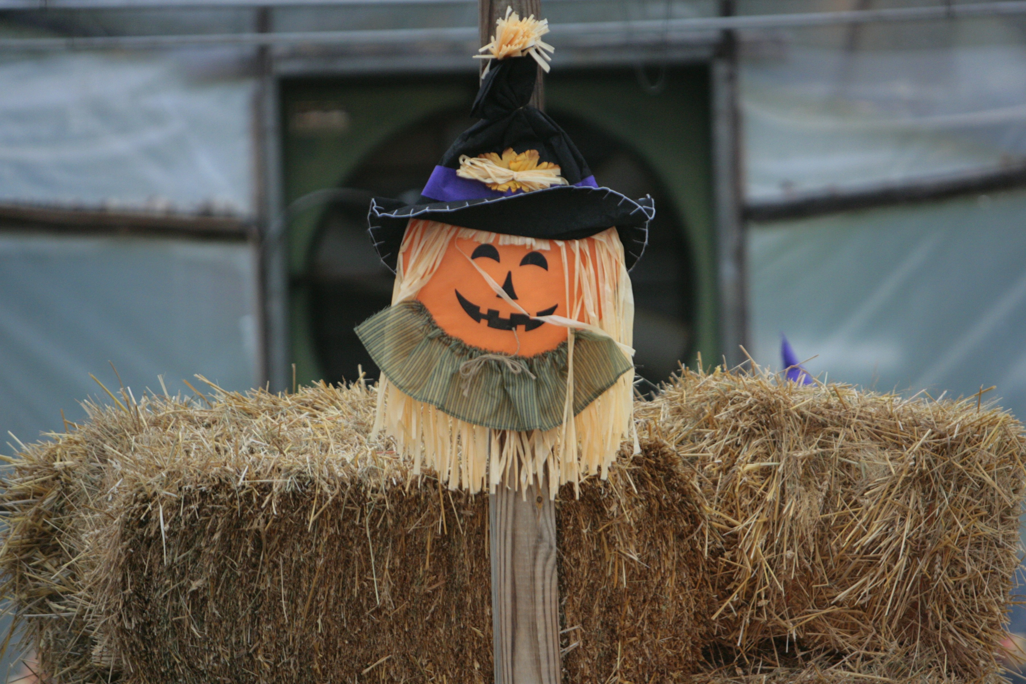 a scarecrow with a face