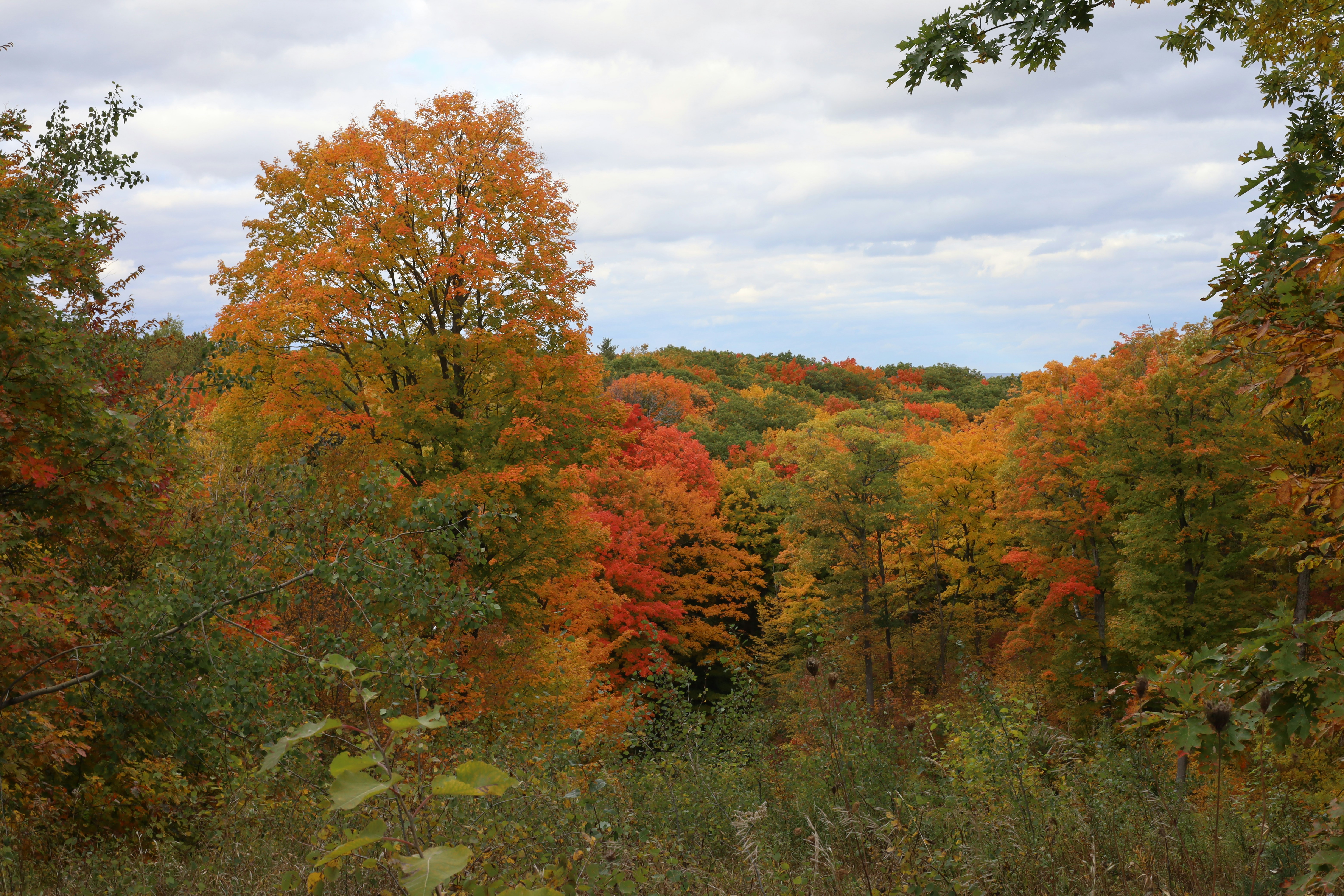 Photo by hkphotographyca