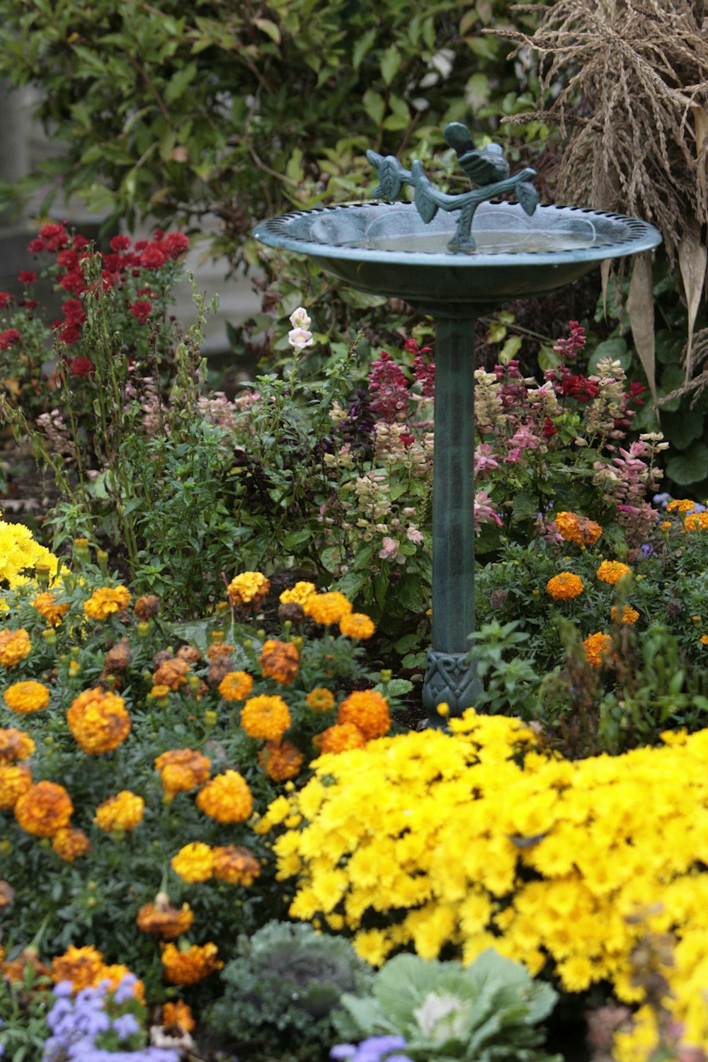 a bird bath in a garden