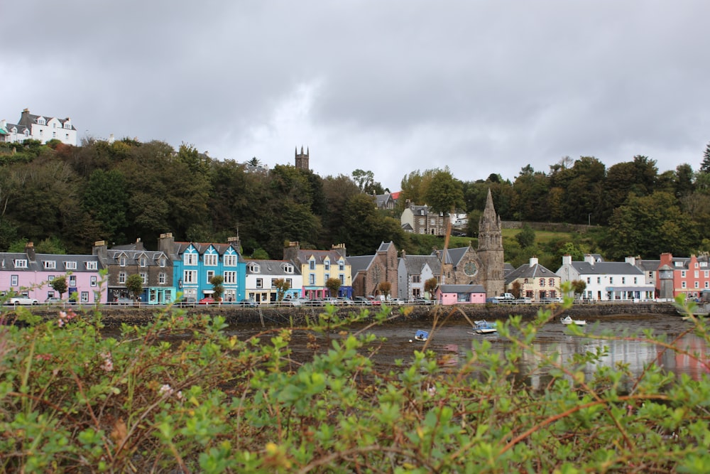 a group of houses next to a body of water