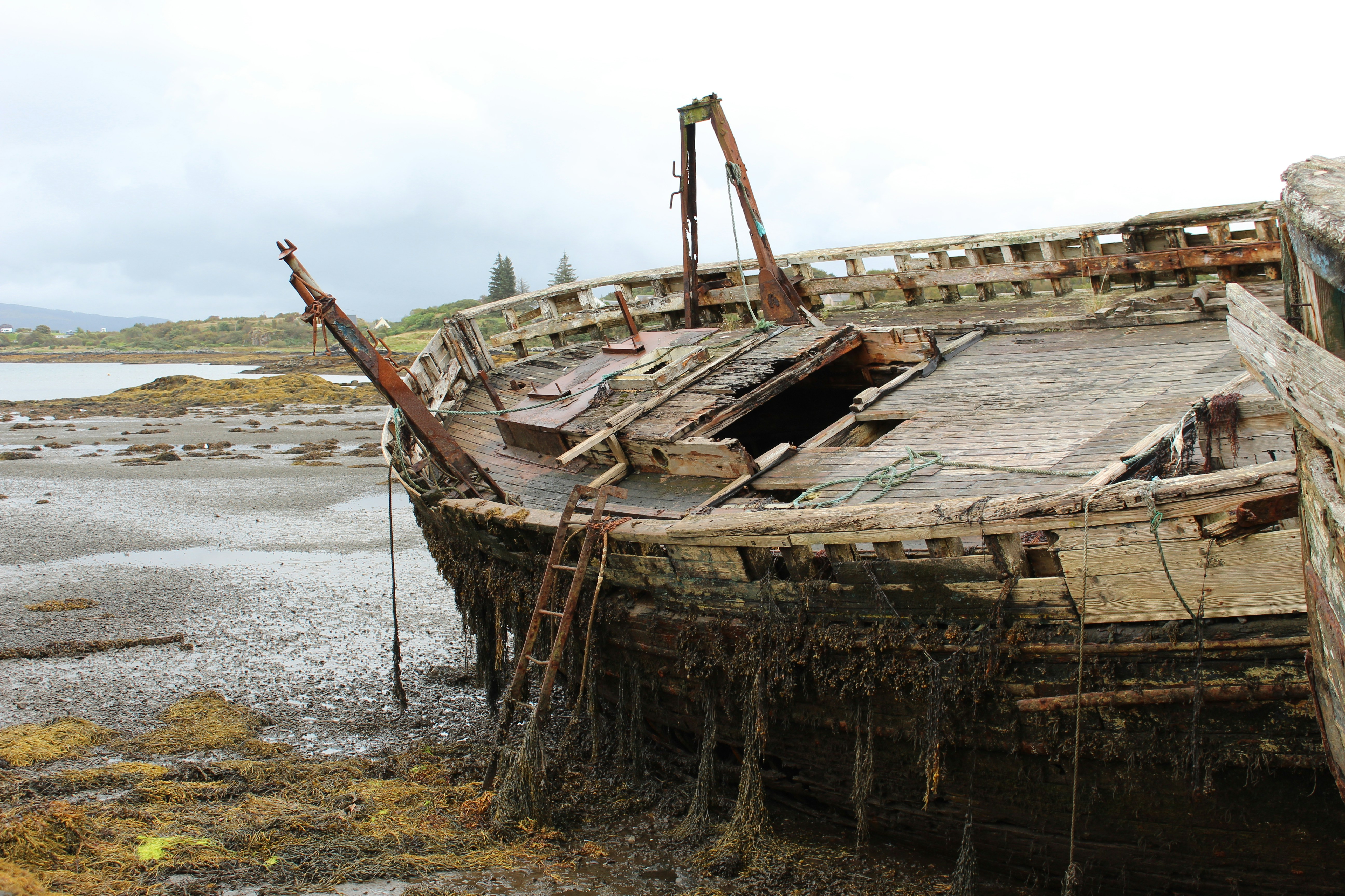 Photo by laurenholding