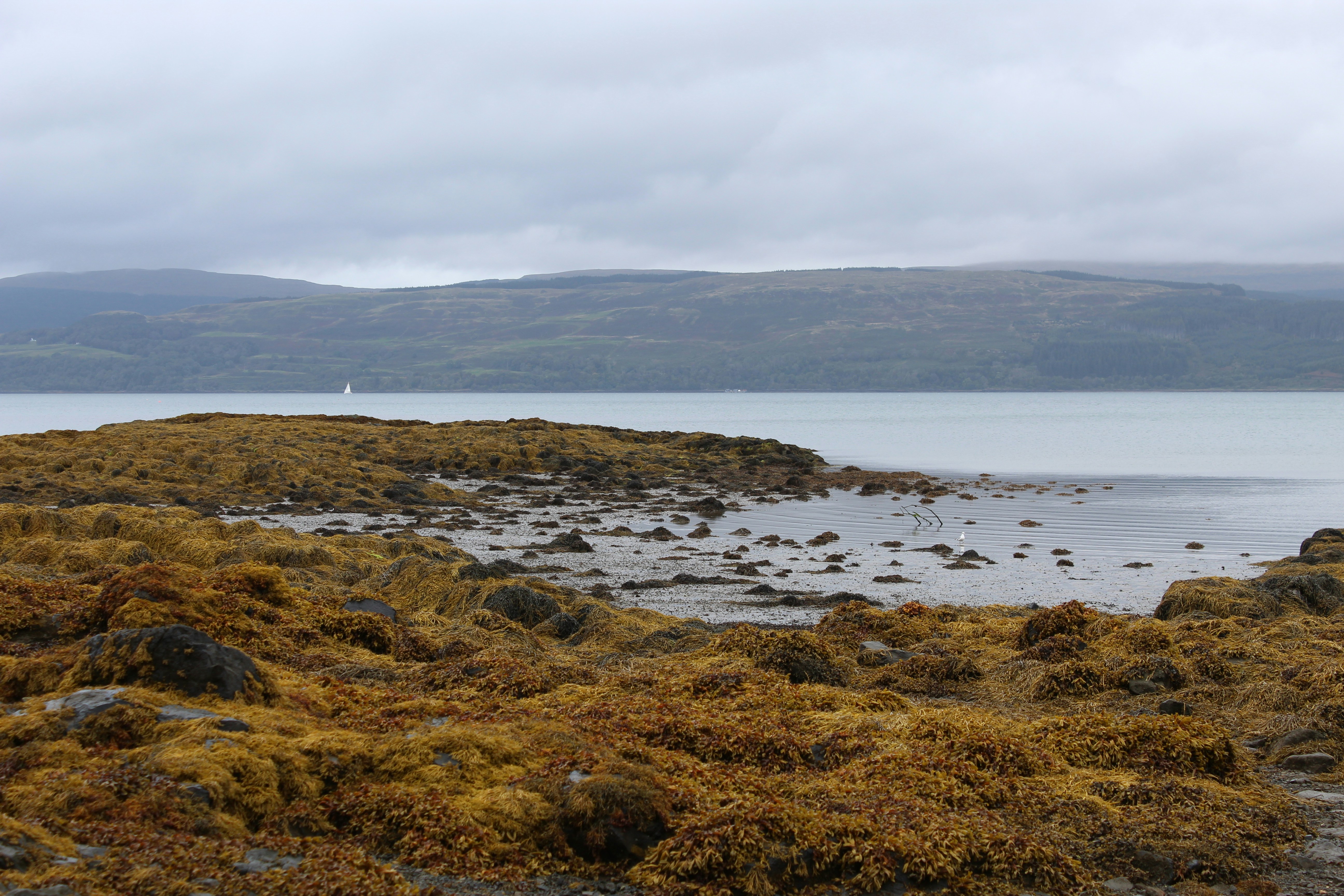 Photo by laurenholding