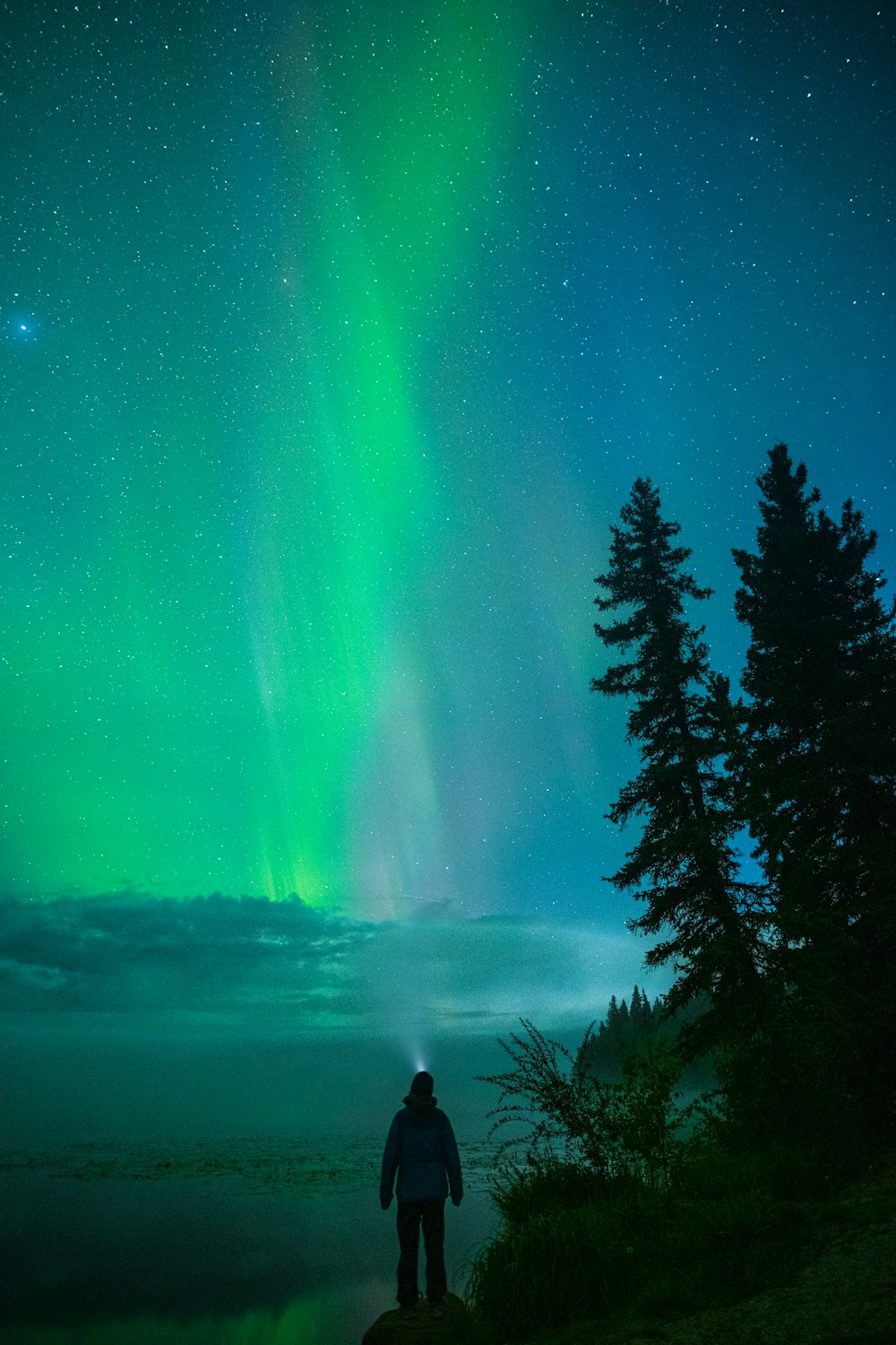 a person standing in front of a bright green aurora in the sky