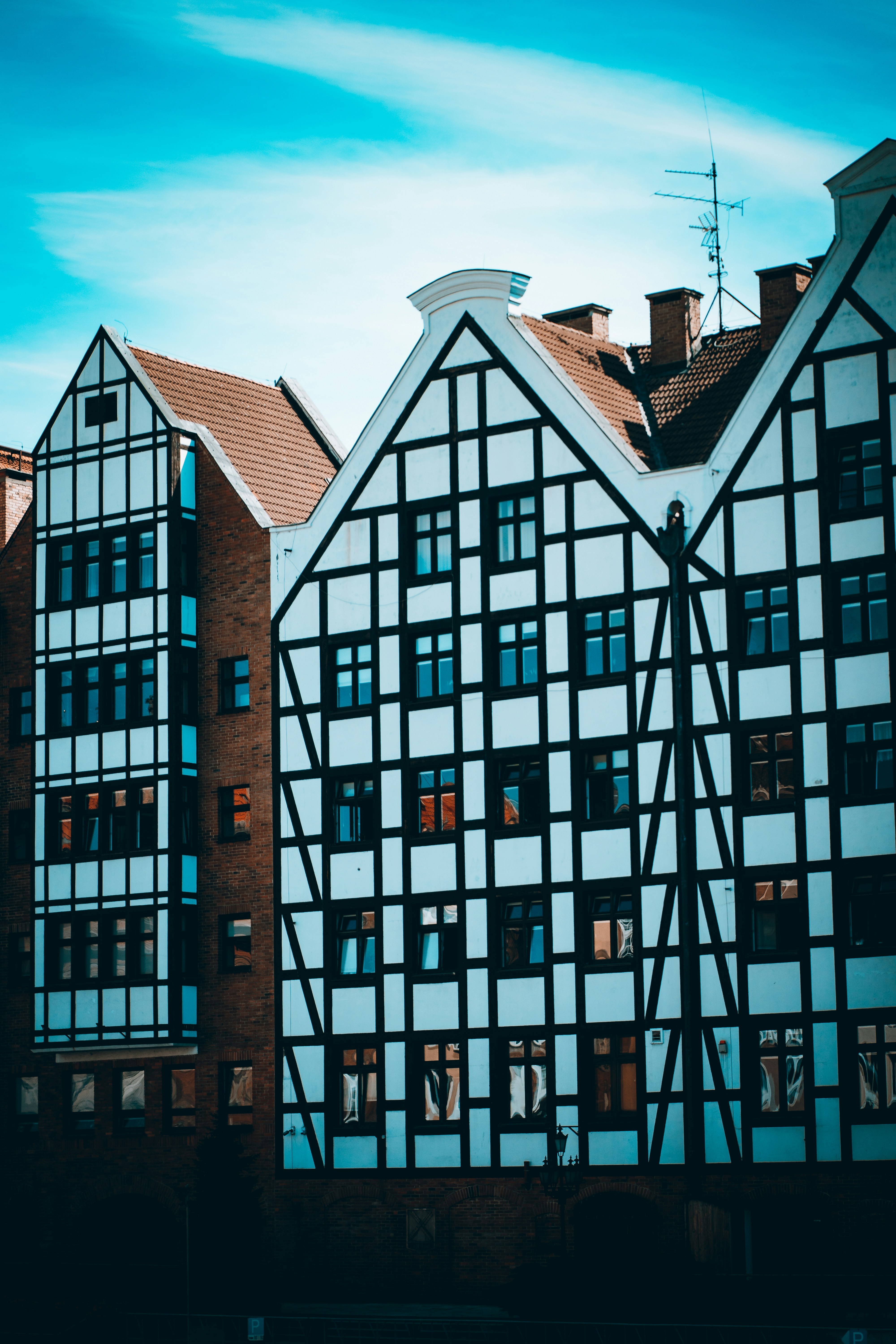 Photo by shields_mcmxcix