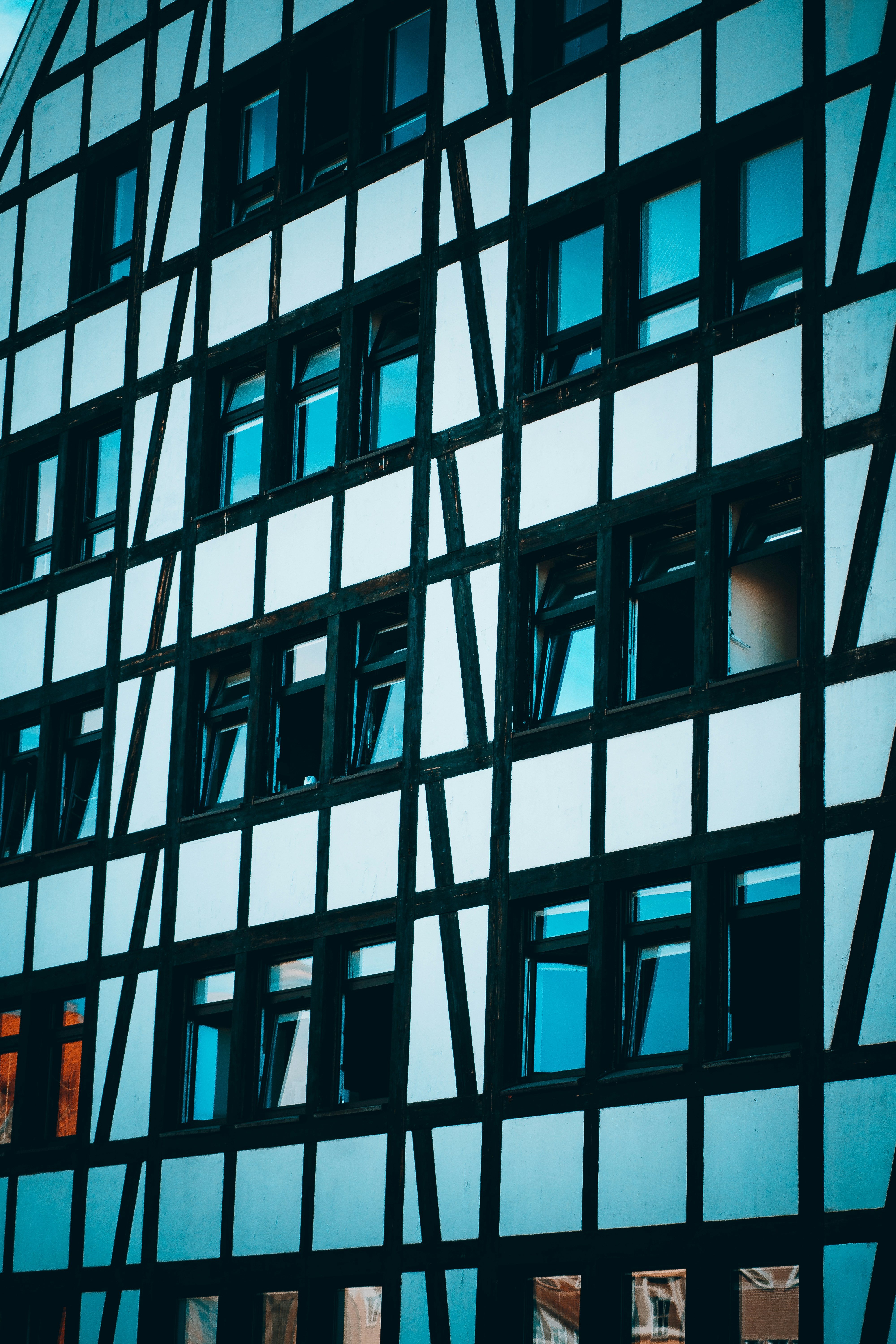 Photo by shields_mcmxcix