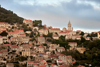 a city with red roofs