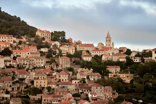 a city with red roofs