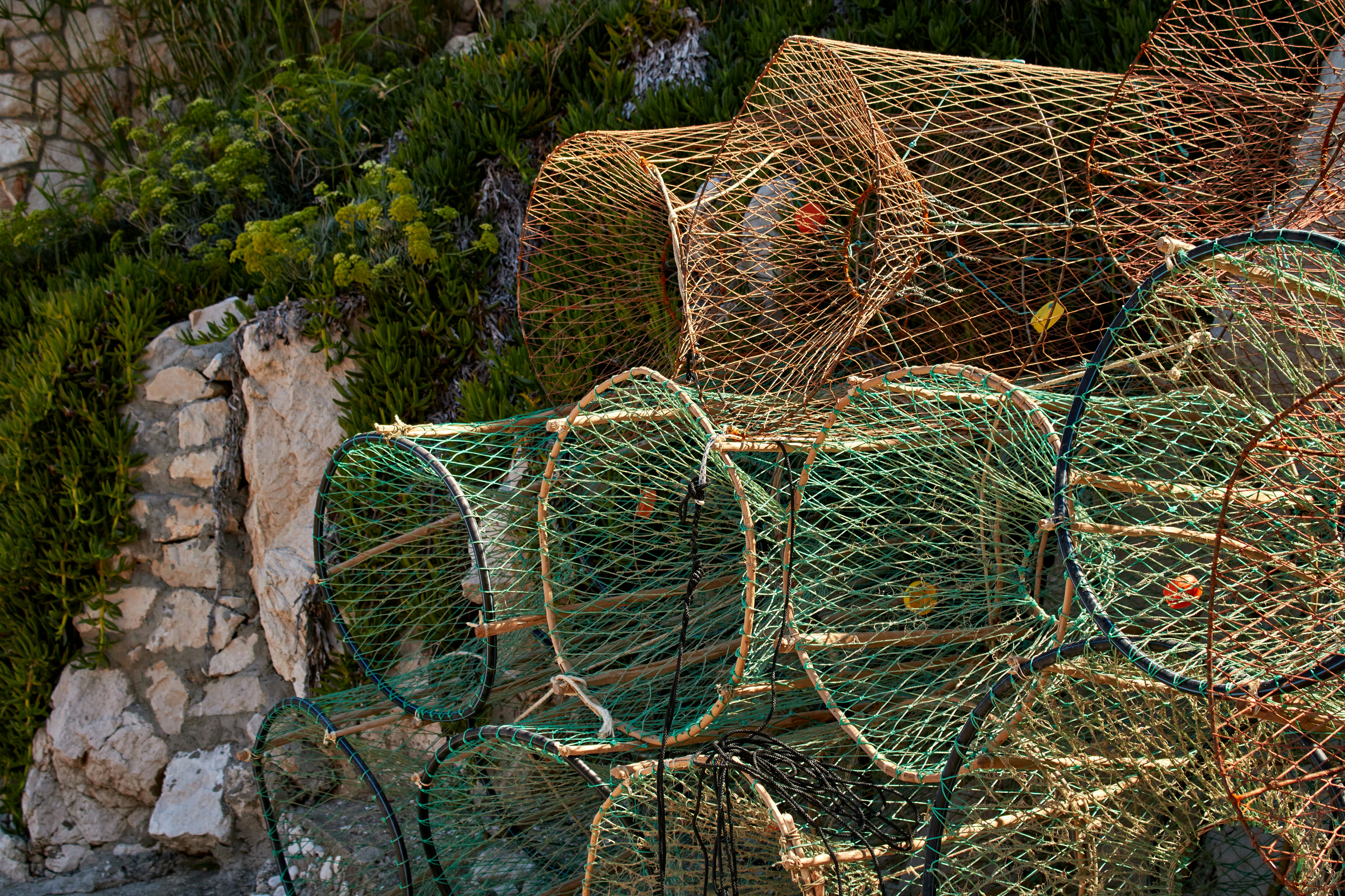 Commercial fishing operation