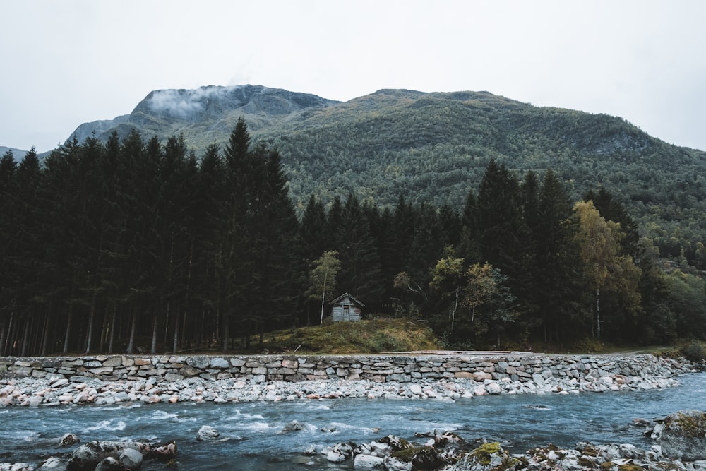 a lake with a house and trees in the background