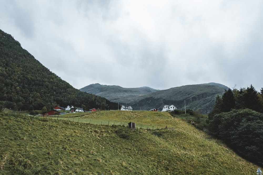 a grassy hill with houses and trees