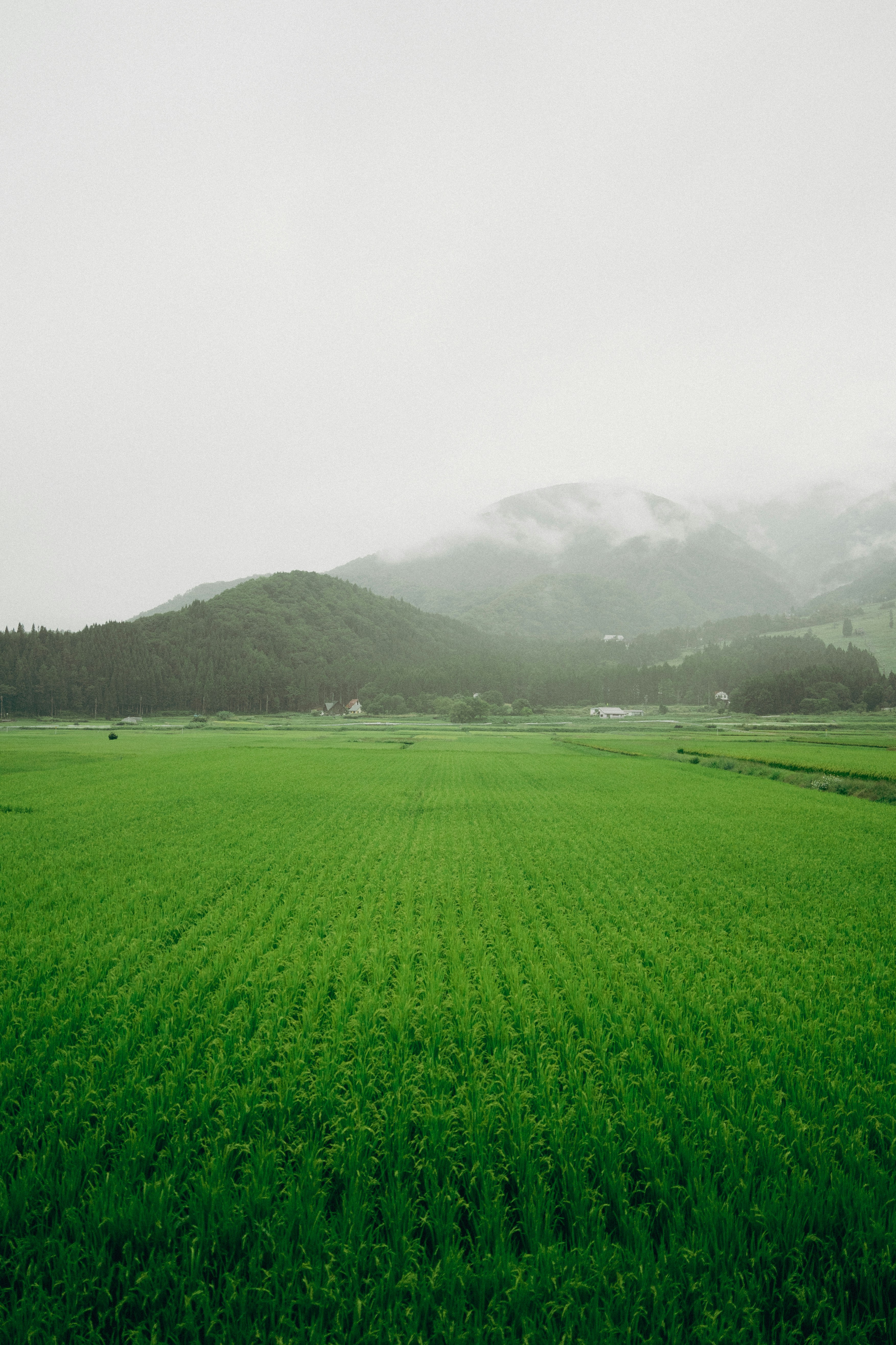 Photo by fl__q