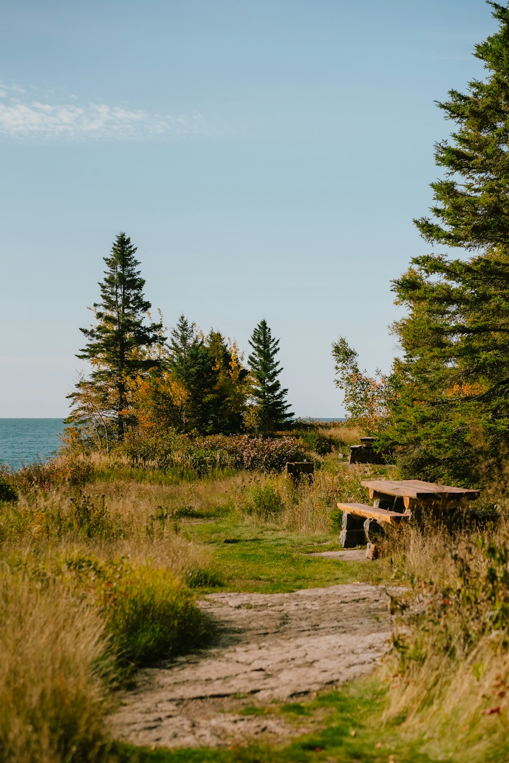 a bench on a trail by a lake