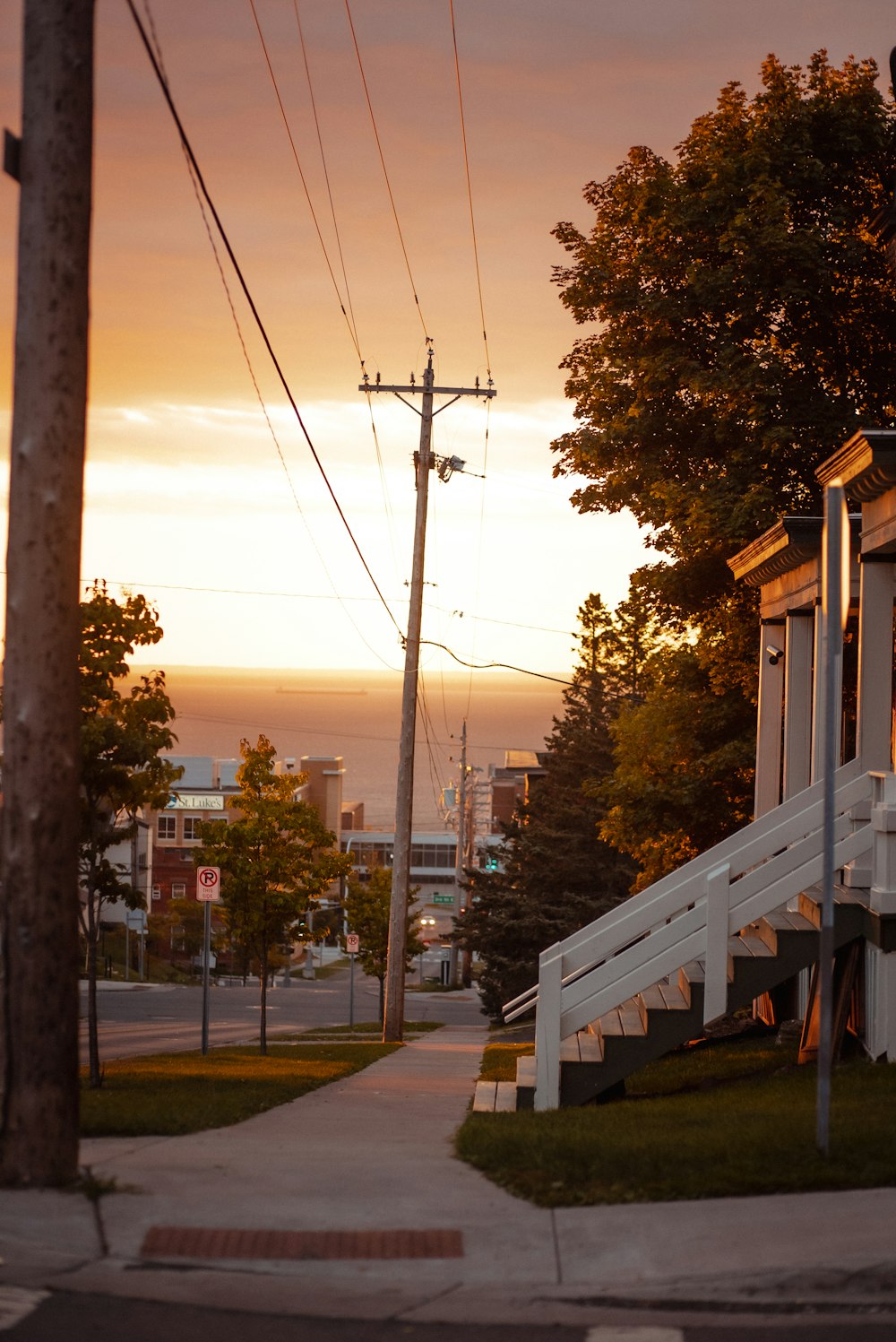 a street with trees and buildings