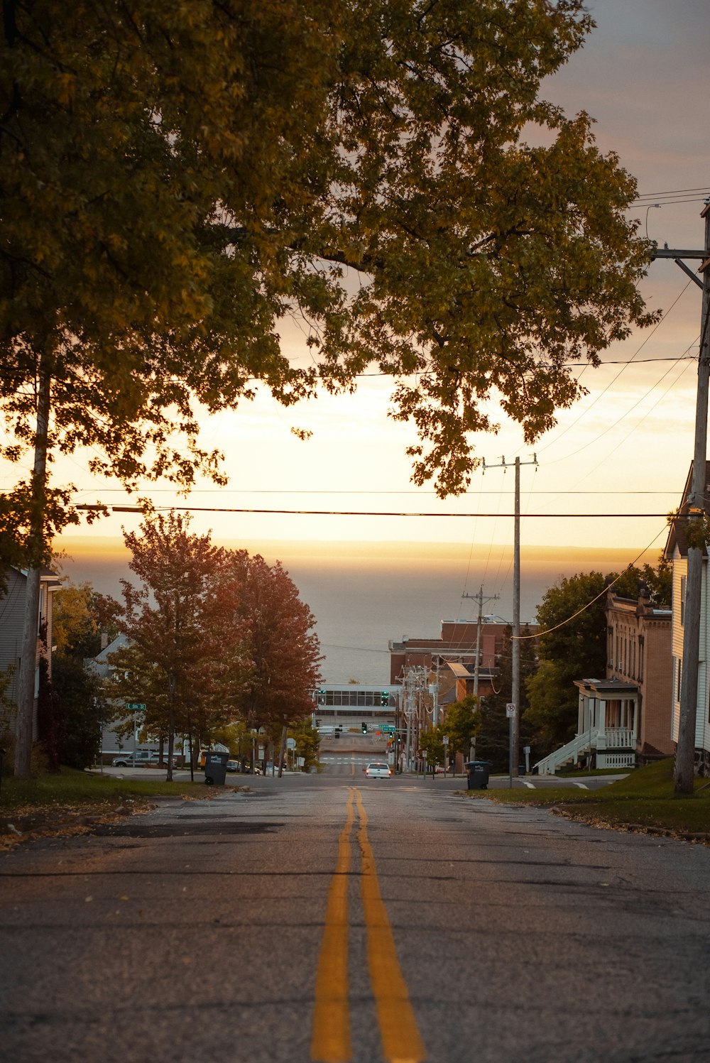 a street with trees on the side