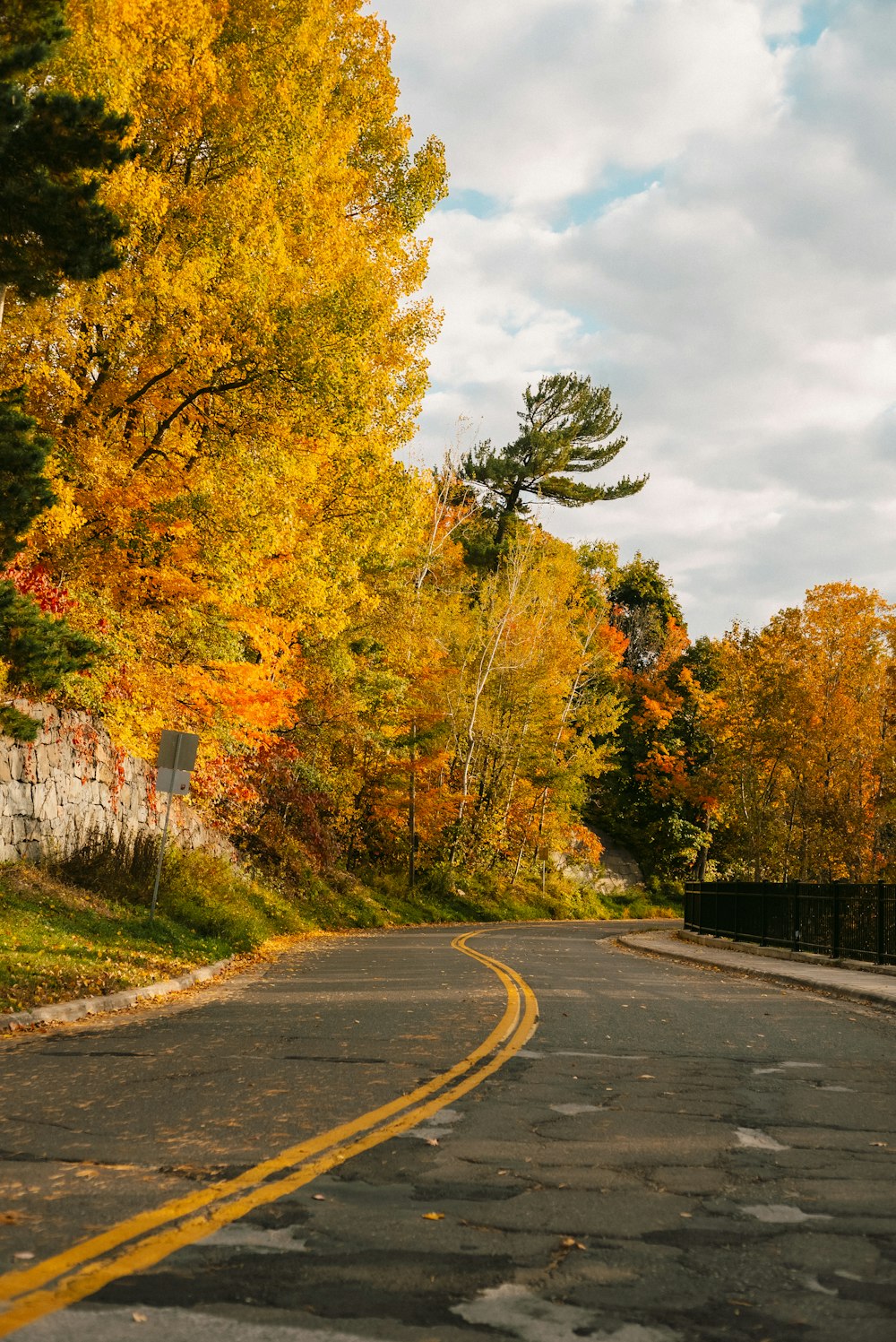 a road with trees on either side