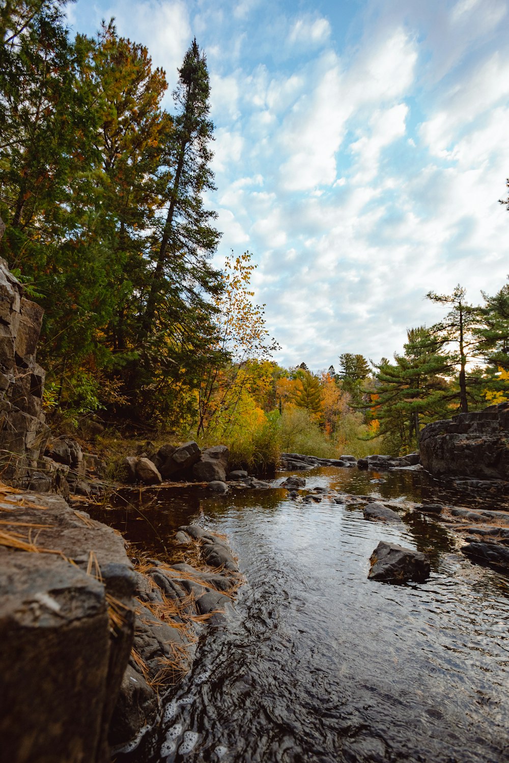 Ein Fluss mit Felsen und Bäumen