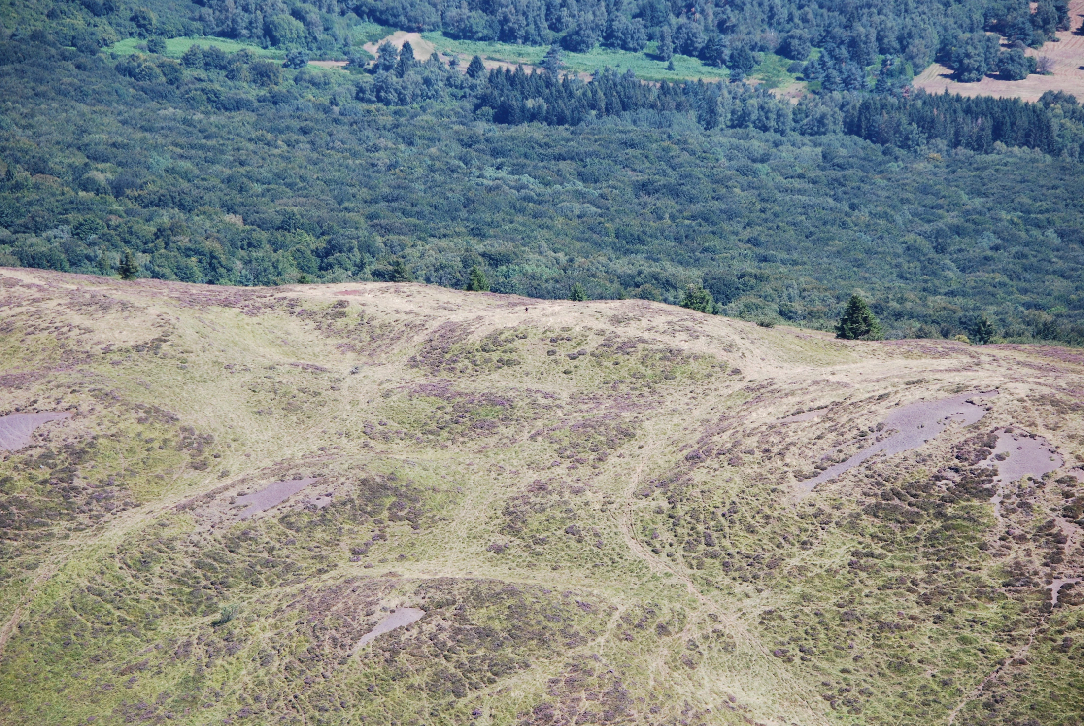 Puy-de-Dôme