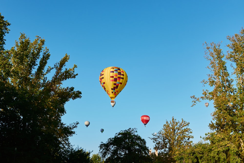 a group of hot air balloons in the sky