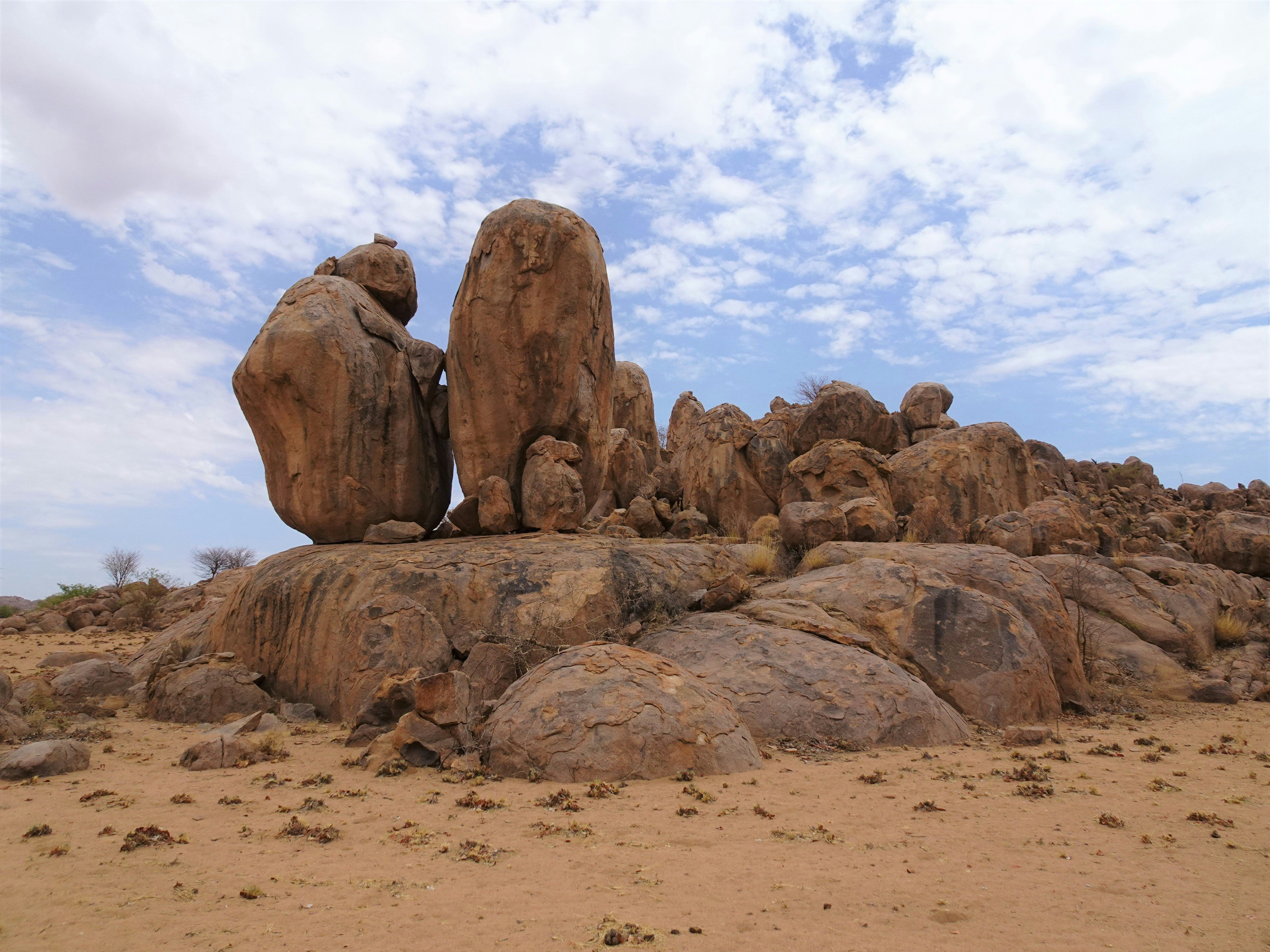 Photo by ron_smit_56