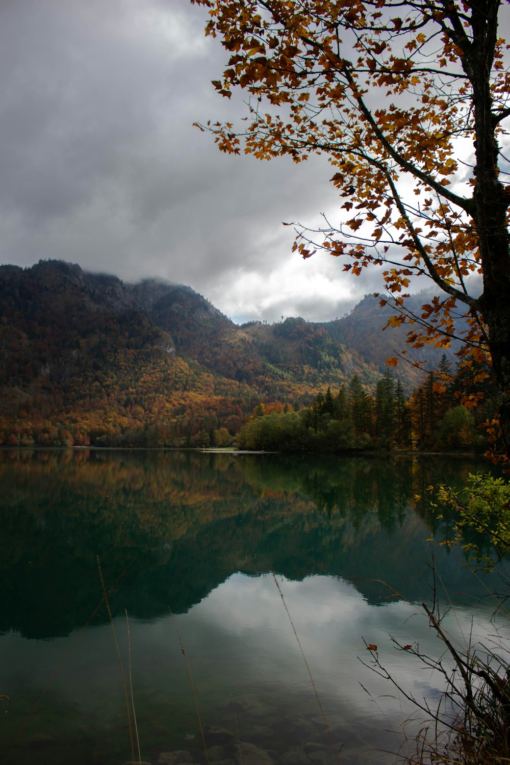 a lake with trees and mountains in the background