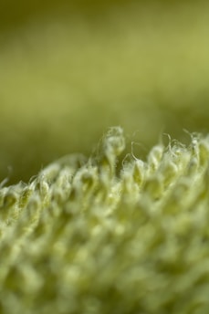 Close-up view of a textured surface with a soft, fuzzy appearance. The image features a series of intertwined fibers or threads, creating a sense of depth and tactile richness.