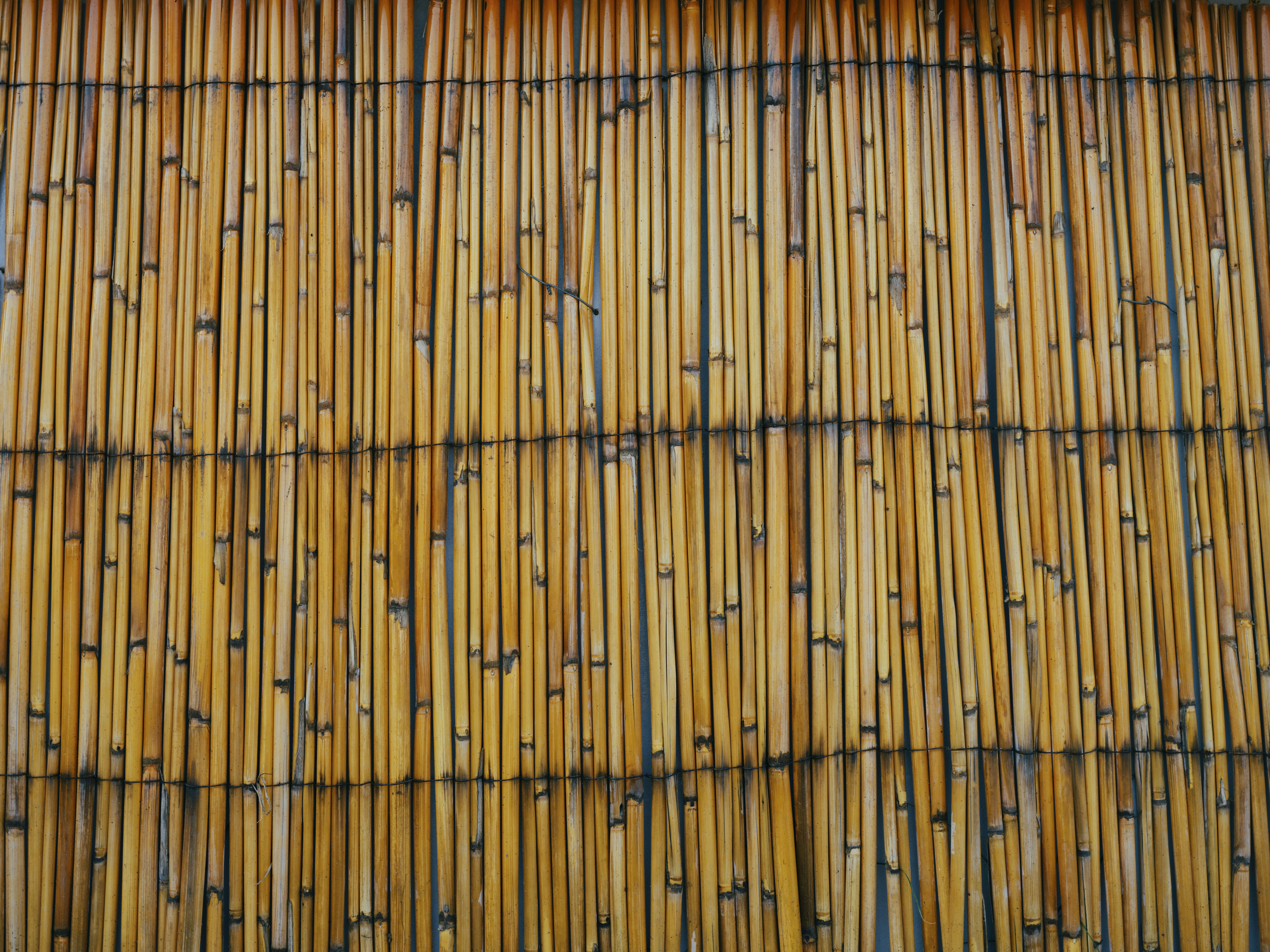 Photo by enginakyurt