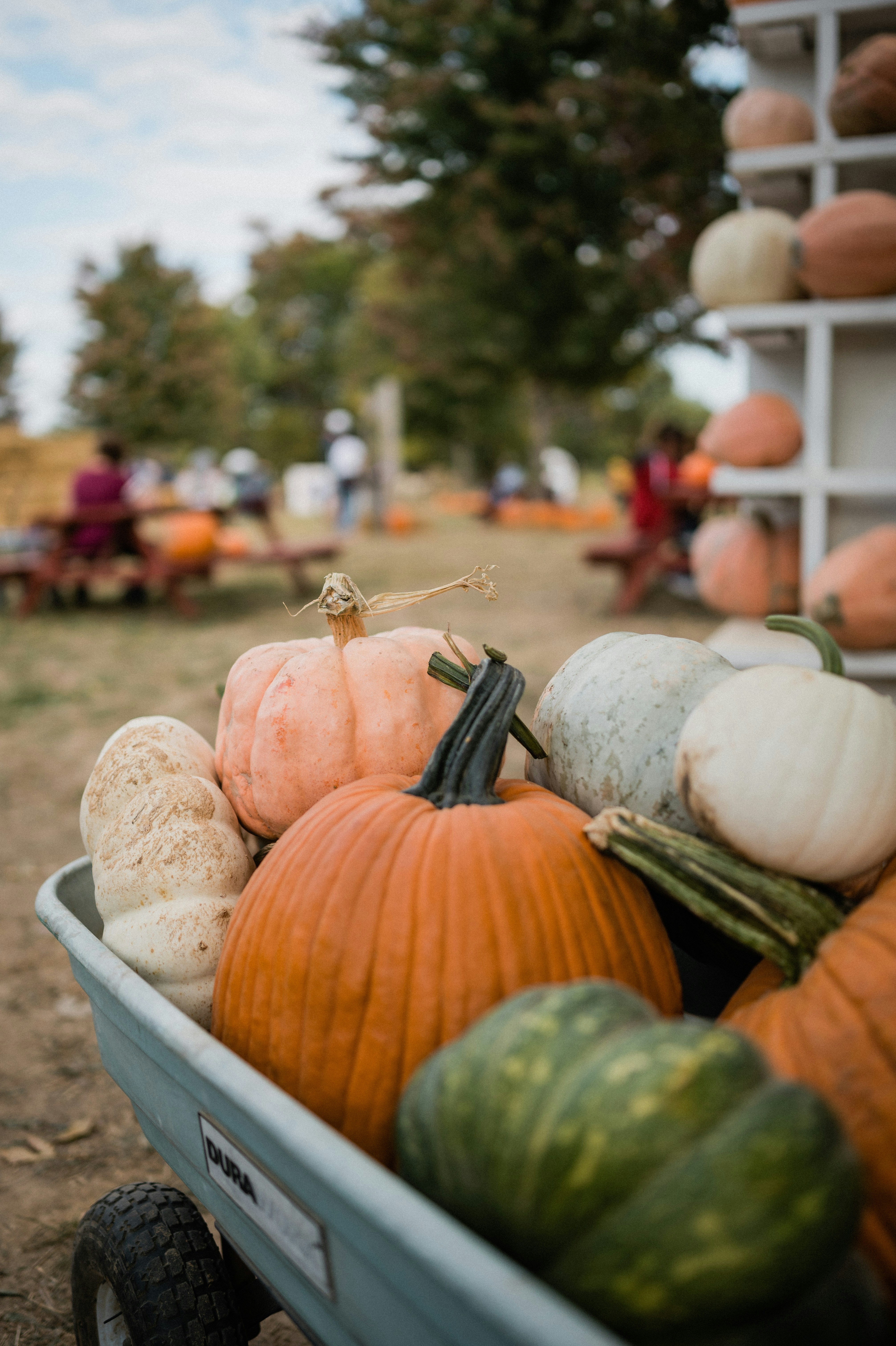 Photo by kelseyrblankenship