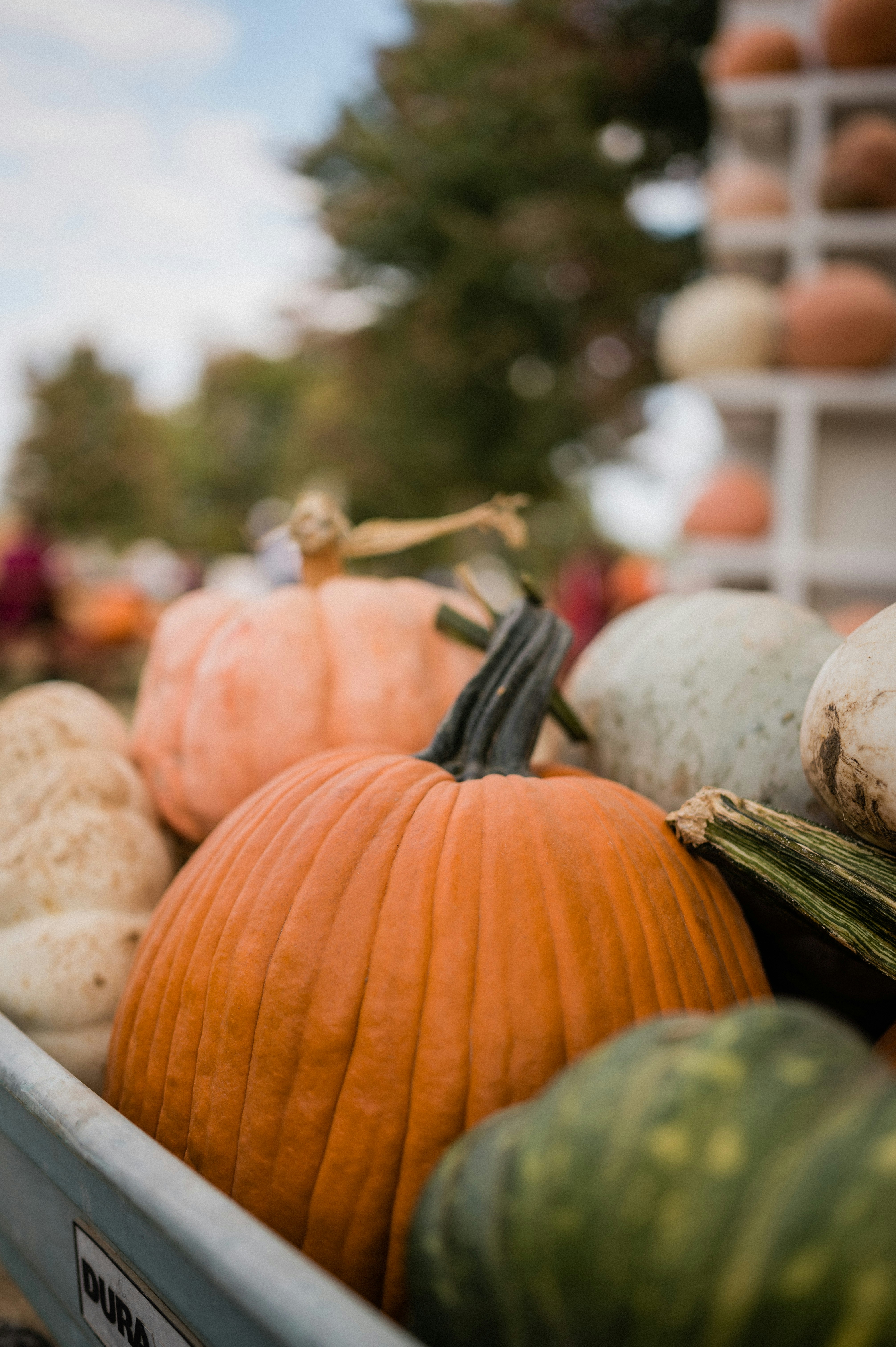 Photo by kelseyrblankenship