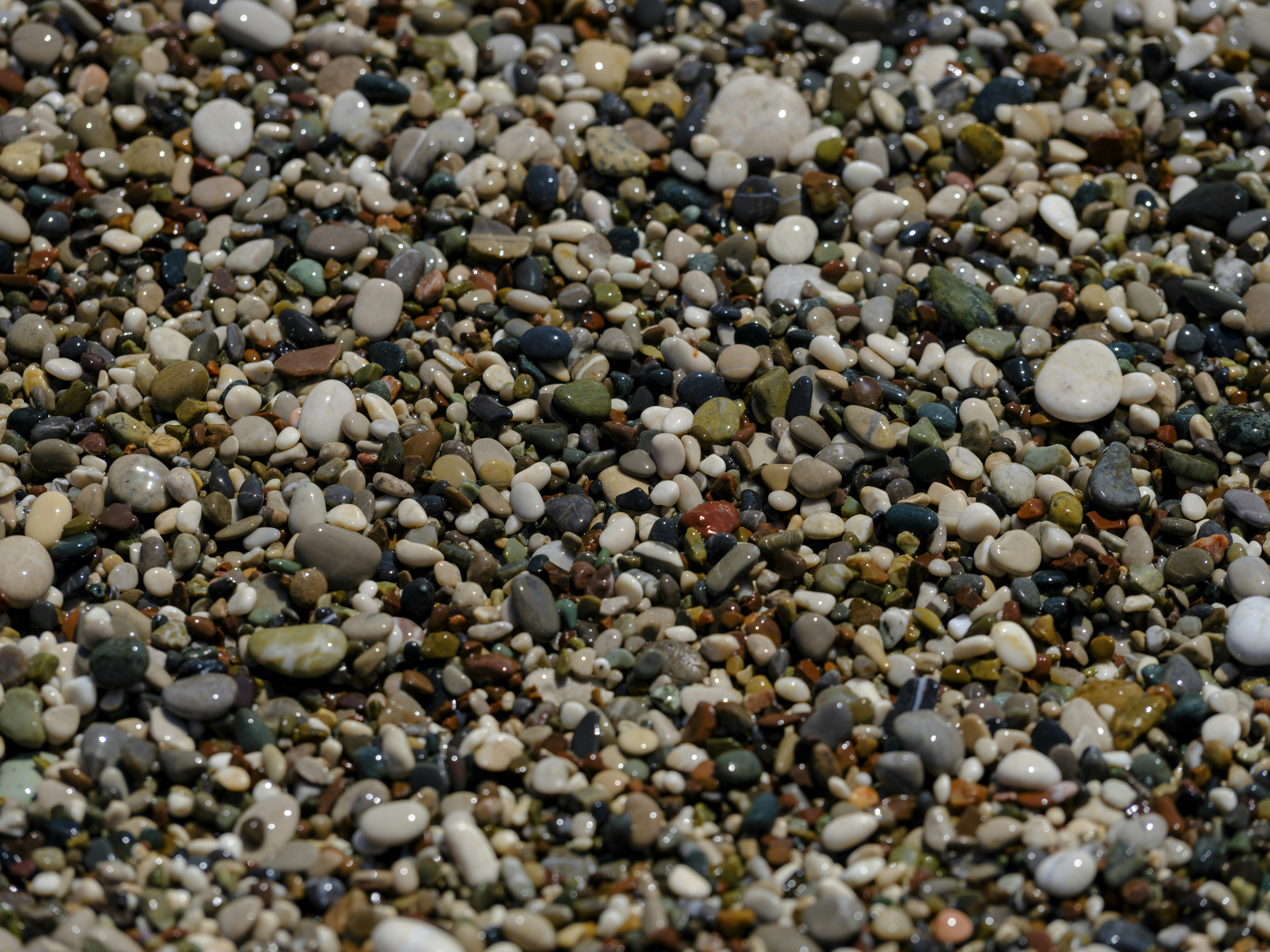 Photo by enginakyurt