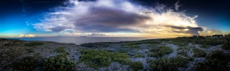 A panoramic shot of the rocky coastline and lush greenery surrounding Isla Isabel at sunset.