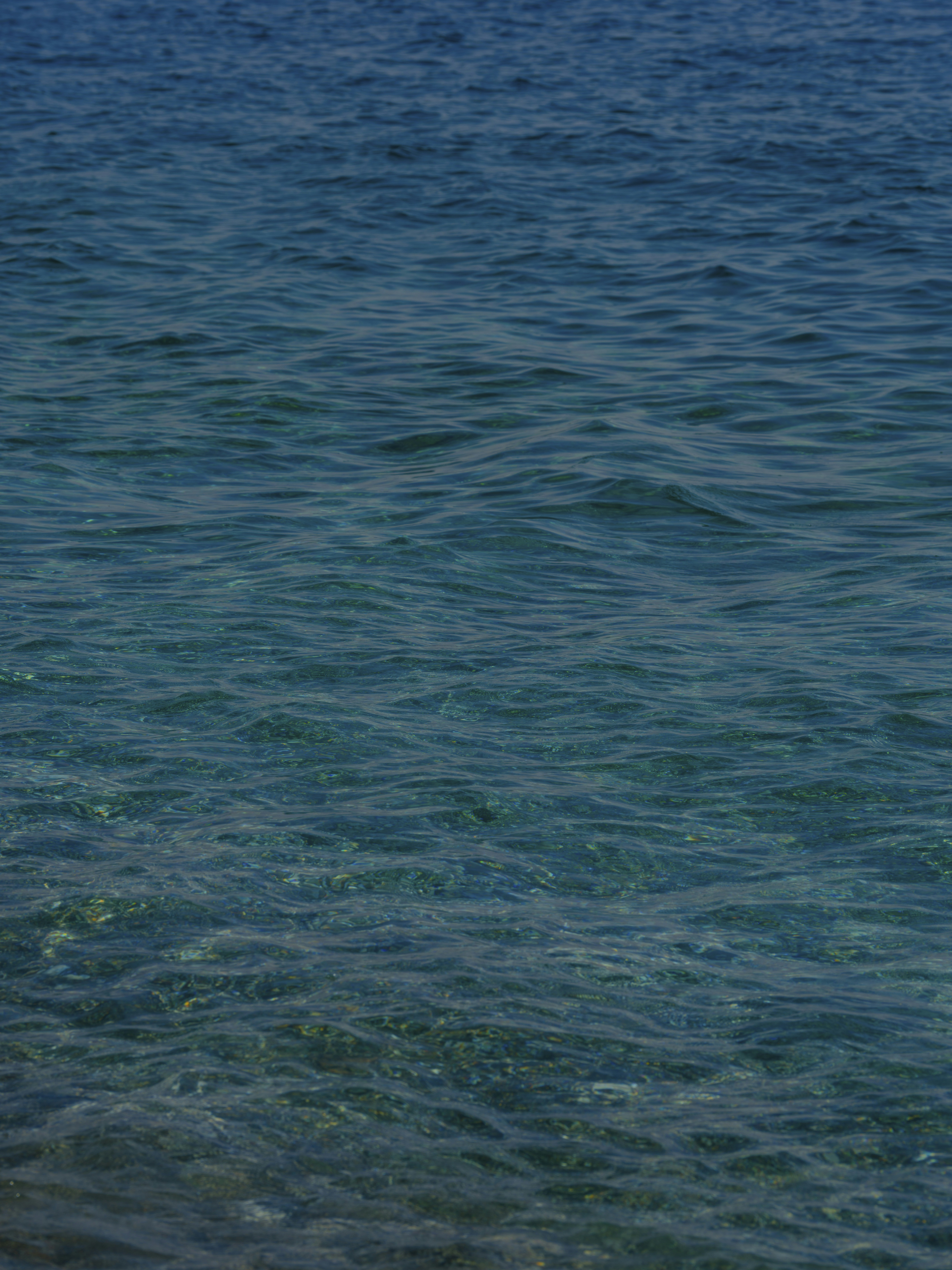 Photo by enginakyurt