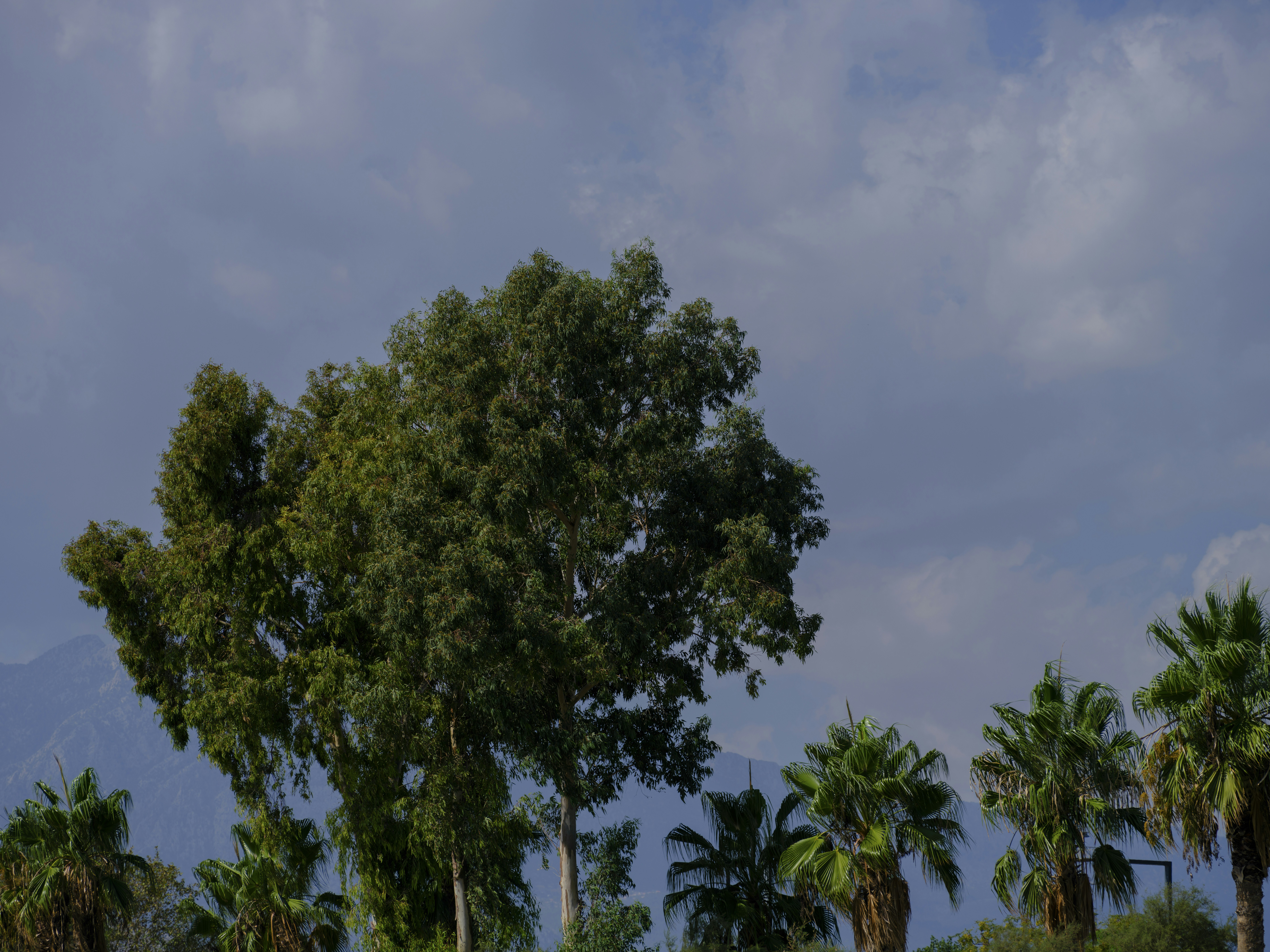 Photo by enginakyurt