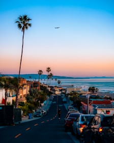 a street with cars and trees by a body of water