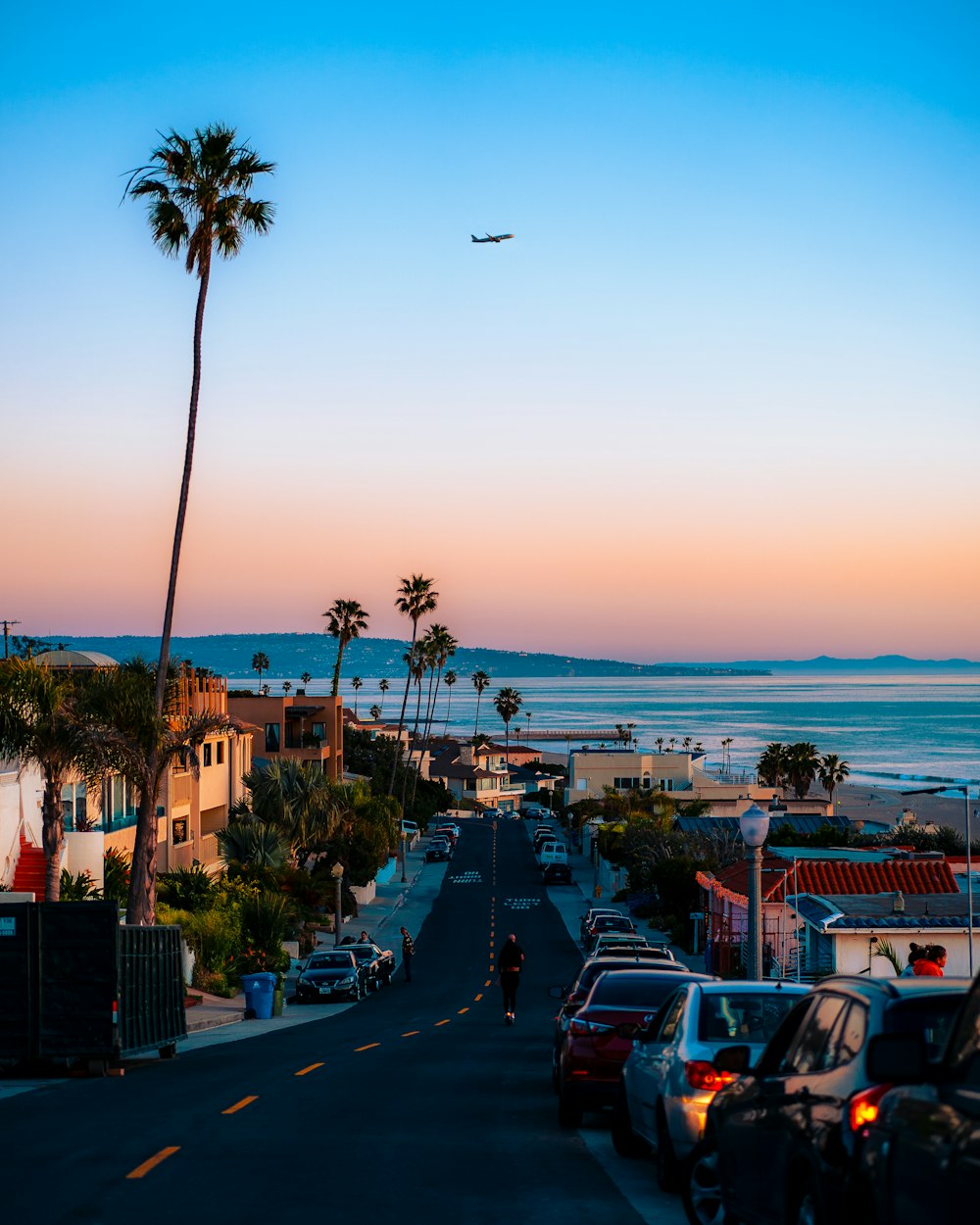 a street with cars and trees by a body of water