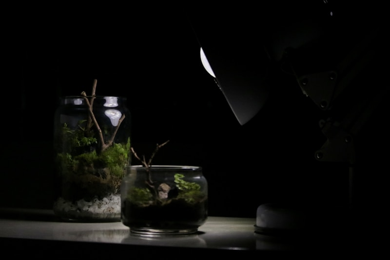 Terrariums