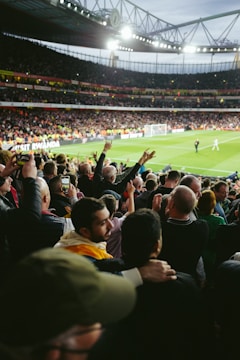 a crowd of people in a stadium